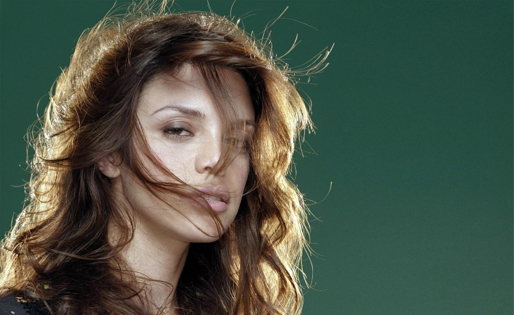 Télécharger des fonds d'écran Vanessa Ferlito HD