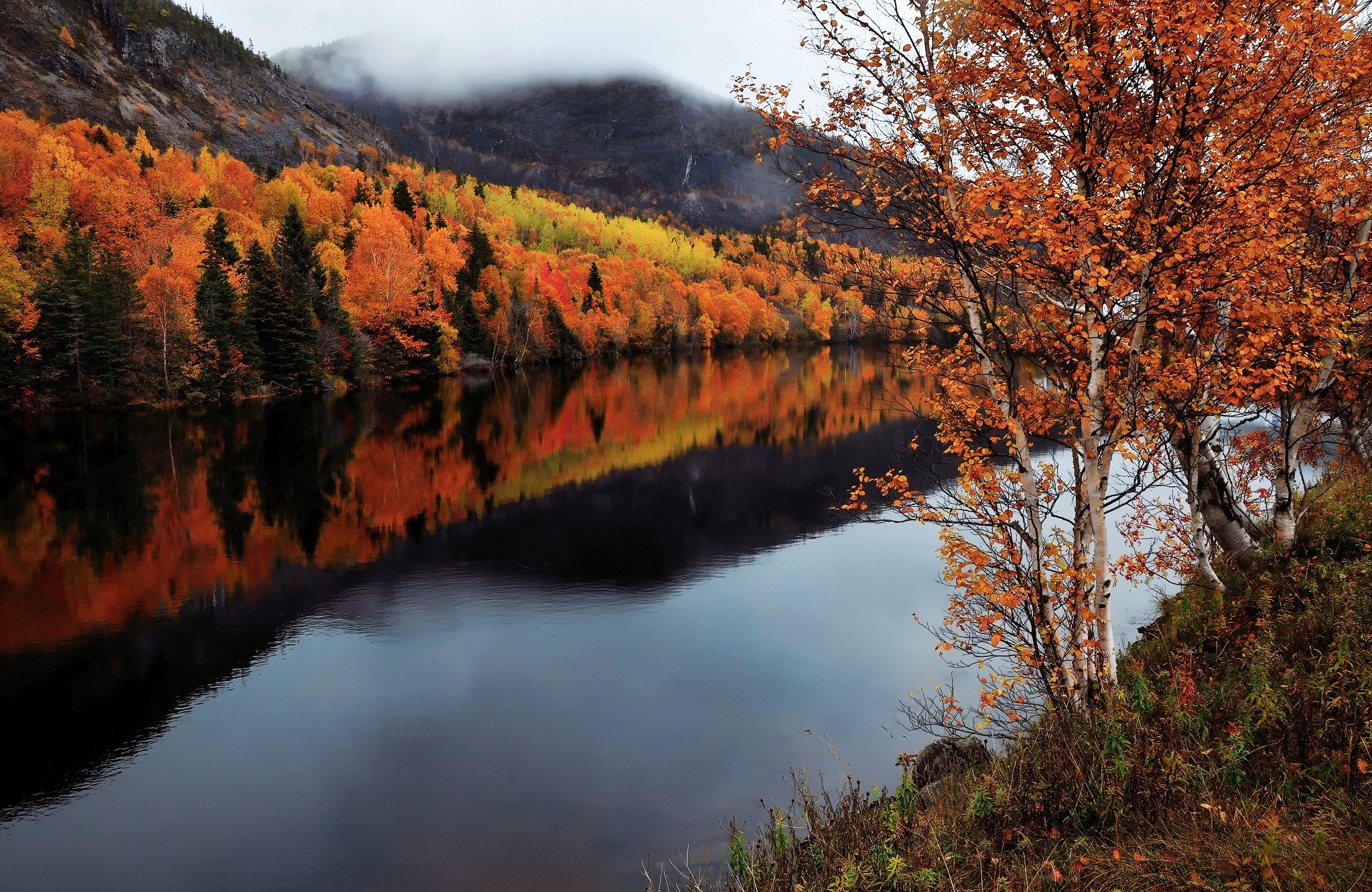 Handy-Wallpaper Herbst, Kanada, Wald, Fluss, Erde/natur, Neufundland kostenlos herunterladen.