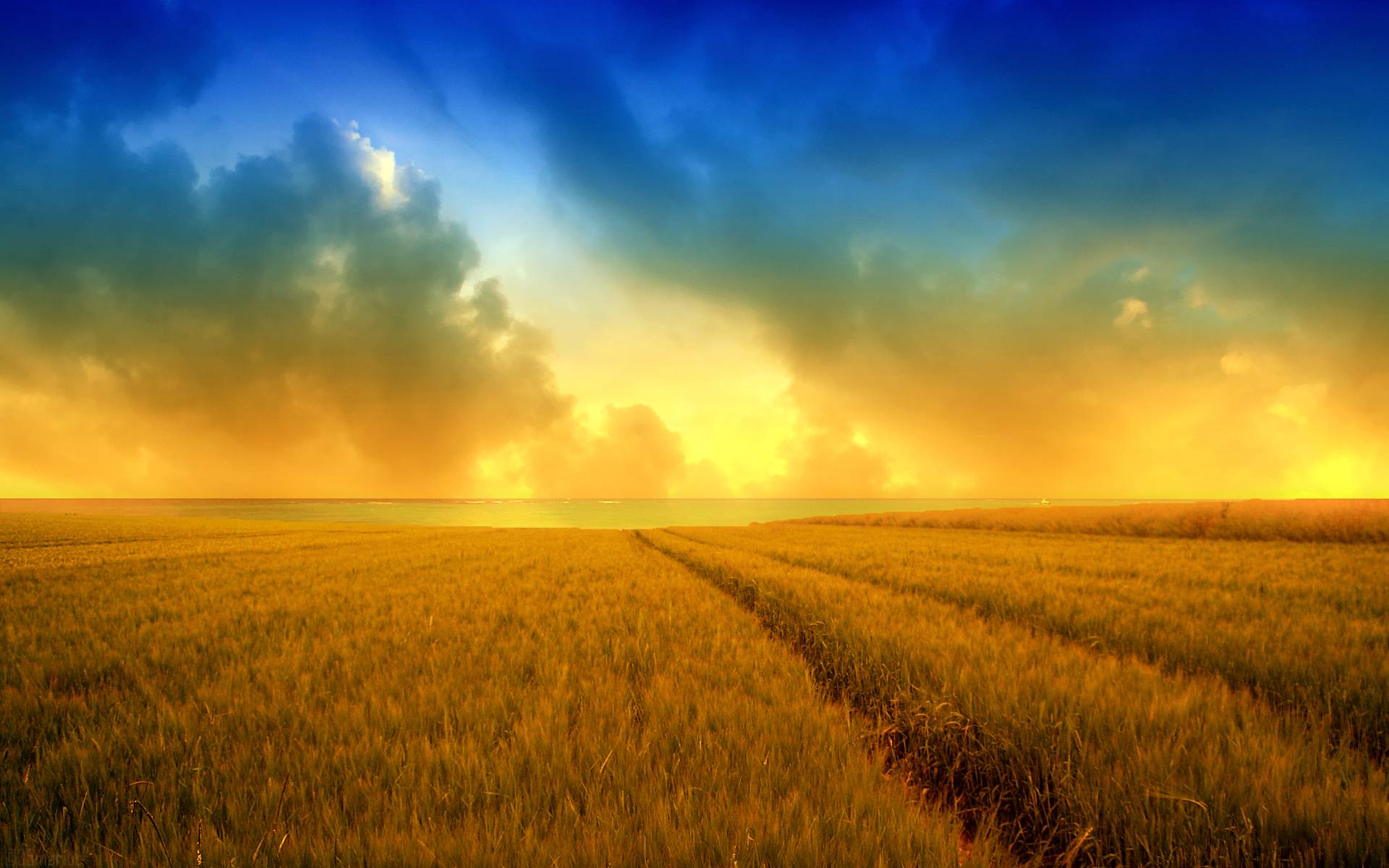 Download mobile wallpaper Sunset, Sky, Wheat, Earth, Field, Cloud for free.
