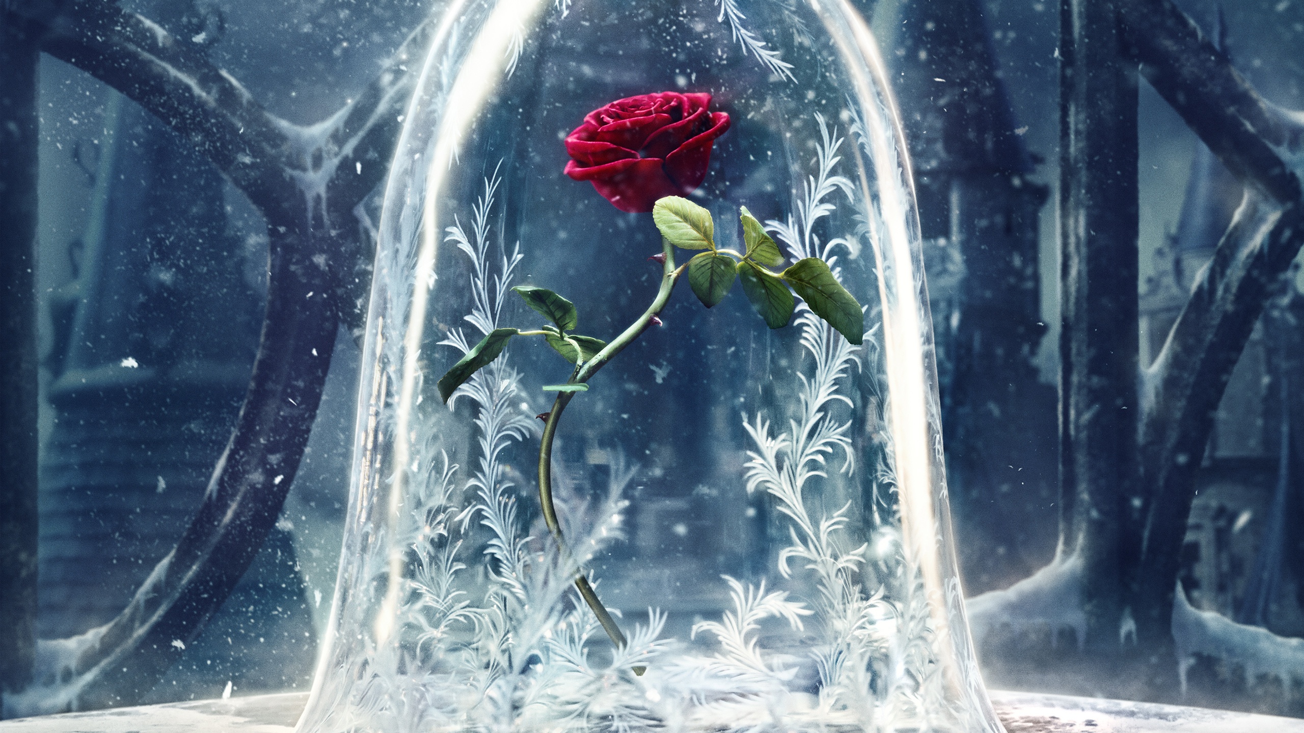 761085 скачать картинку роза, цветок, красная роза, кино, красавица и чудовище (2017) - обои и заставки бесплатно