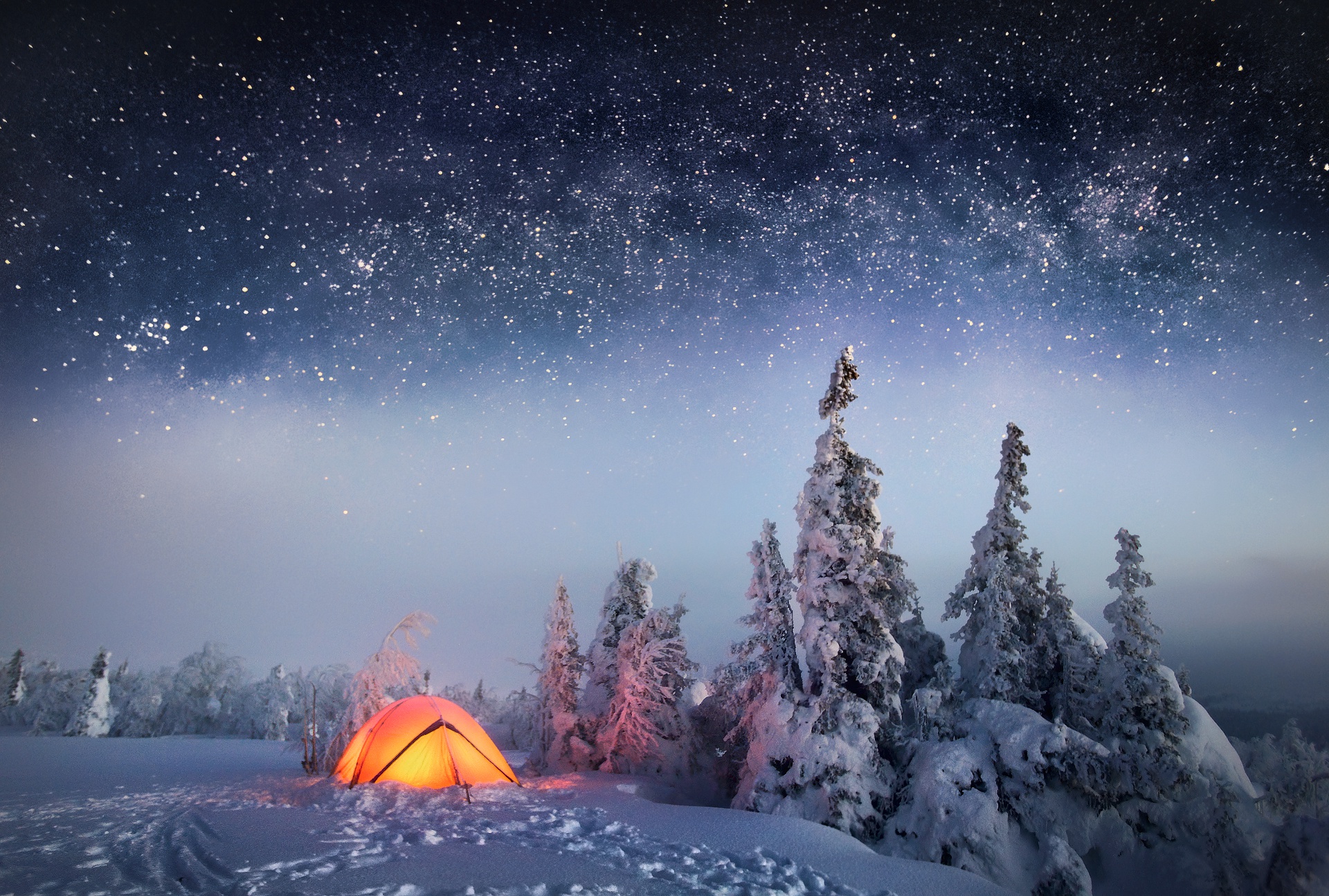 photography, camping, nature, night, sky, snow, stars, tree, winter