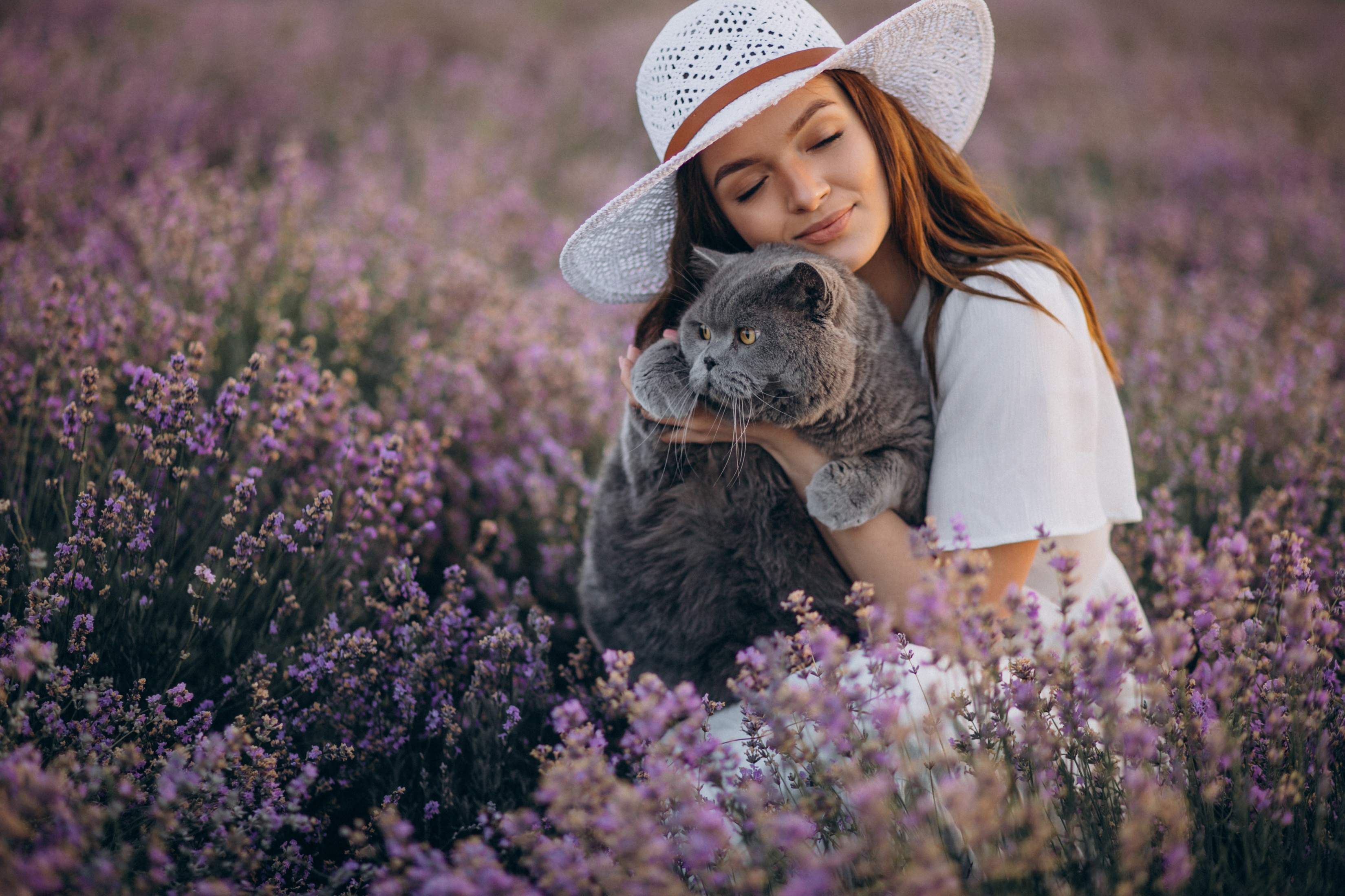 Download mobile wallpaper Cat, Redhead, Mood, Hat, Lavender, Women for free.
