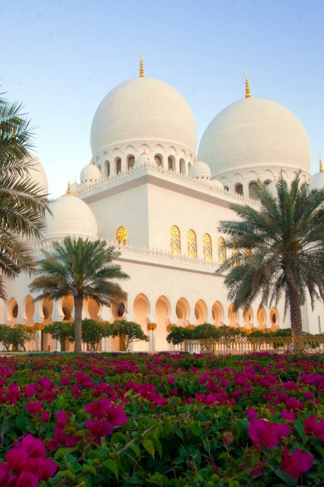 Handy-Wallpaper Blume, Palme, Abu Dhabi, Scheich Zayid Moschee, Religiös, Moscheen kostenlos herunterladen.