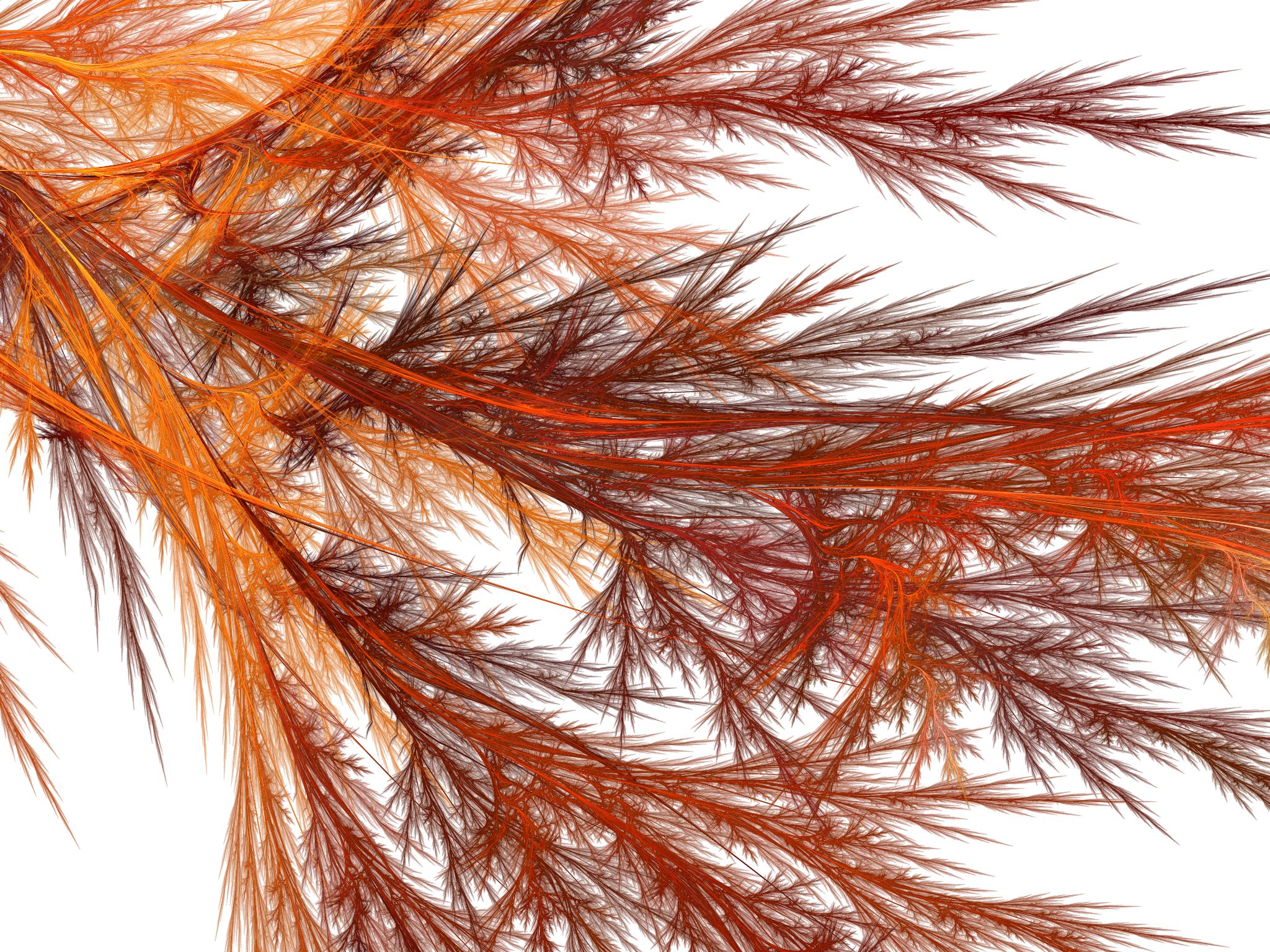 Free download wallpaper Abstract, Brown, Branch, Fractal on your PC desktop