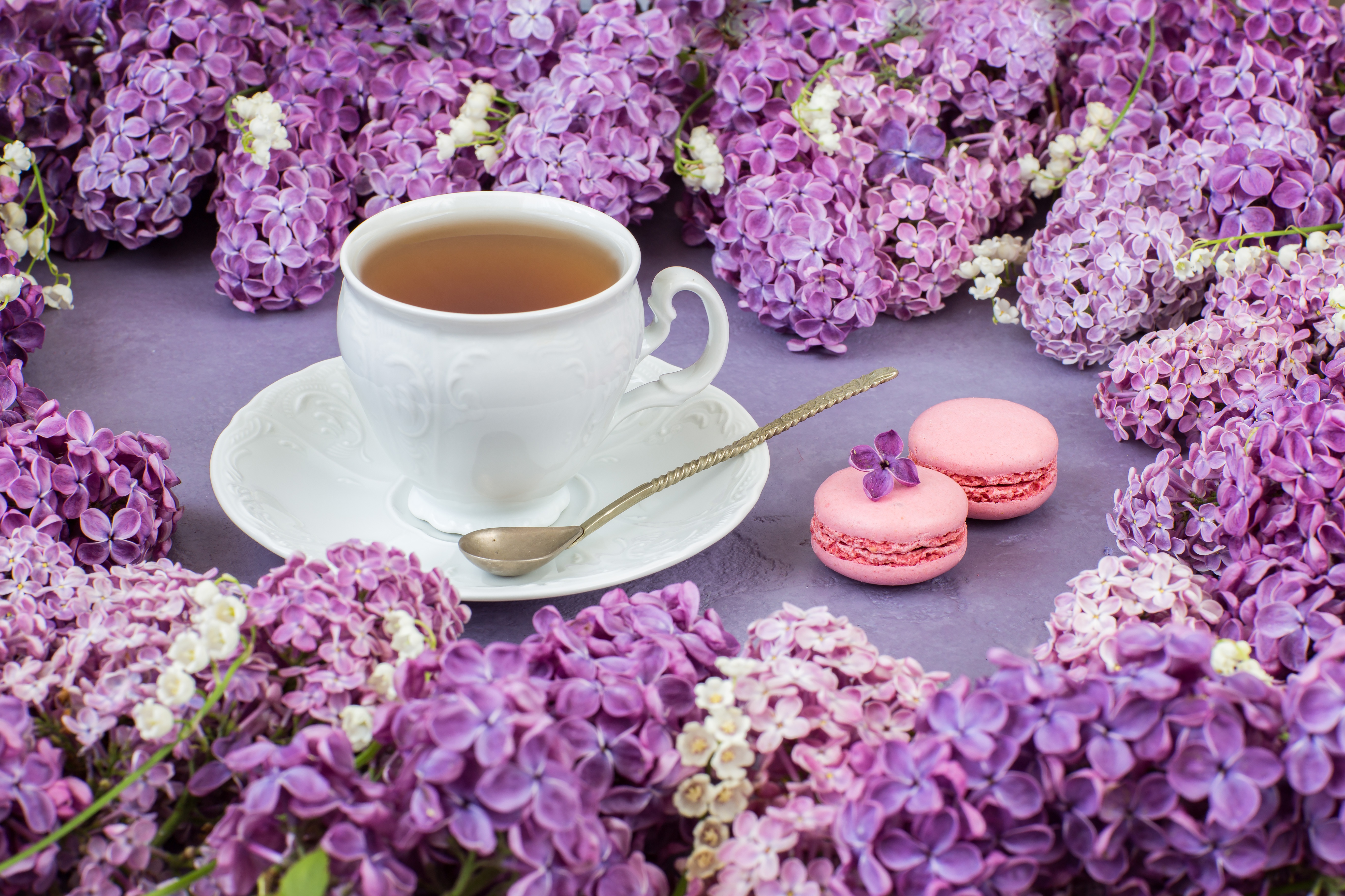 Free download wallpaper Food, Lilac, Still Life, Flower, Cup, Tea, Pink Flower on your PC desktop