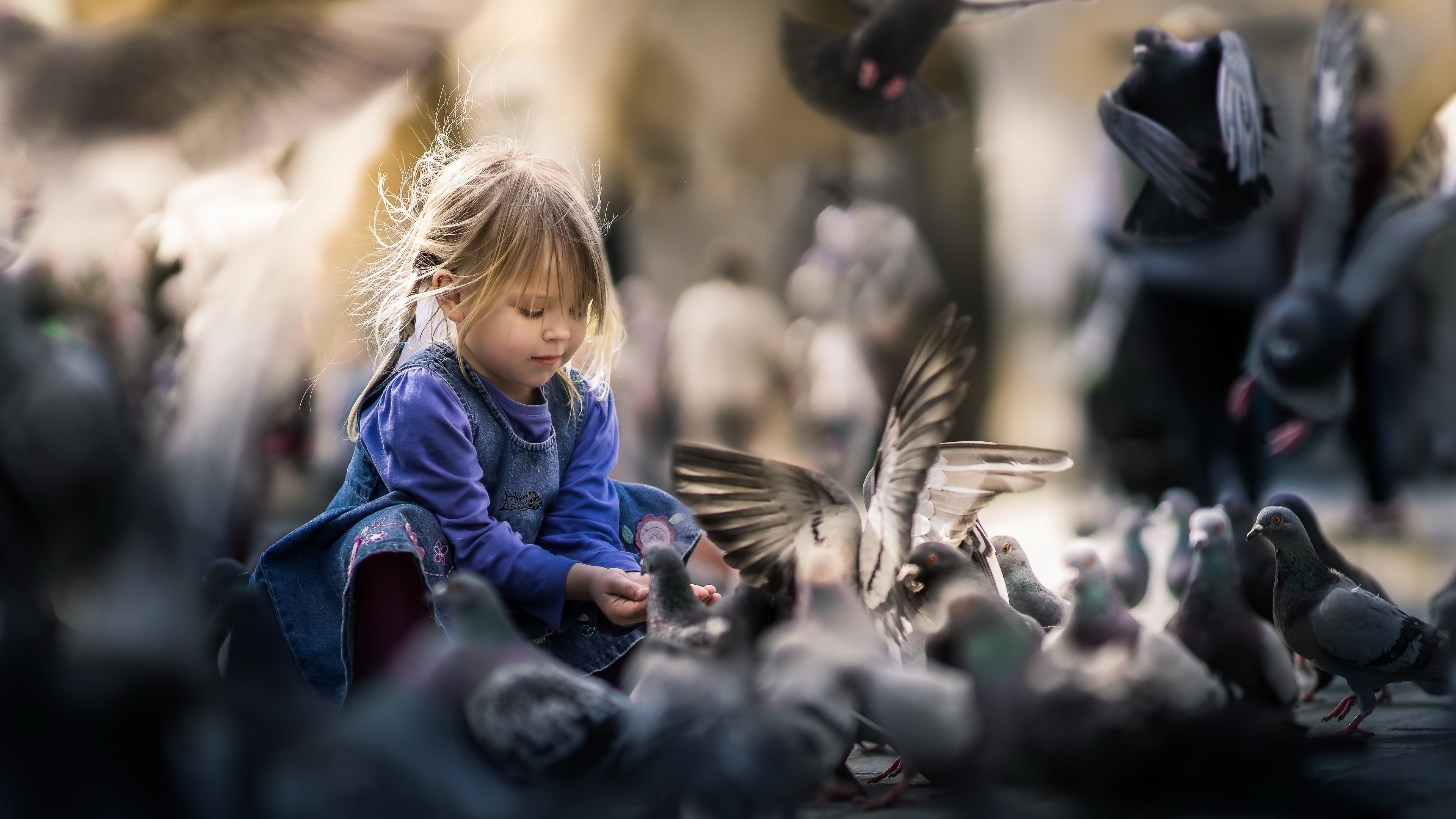 Free download wallpaper Bird, Child, Photography on your PC desktop