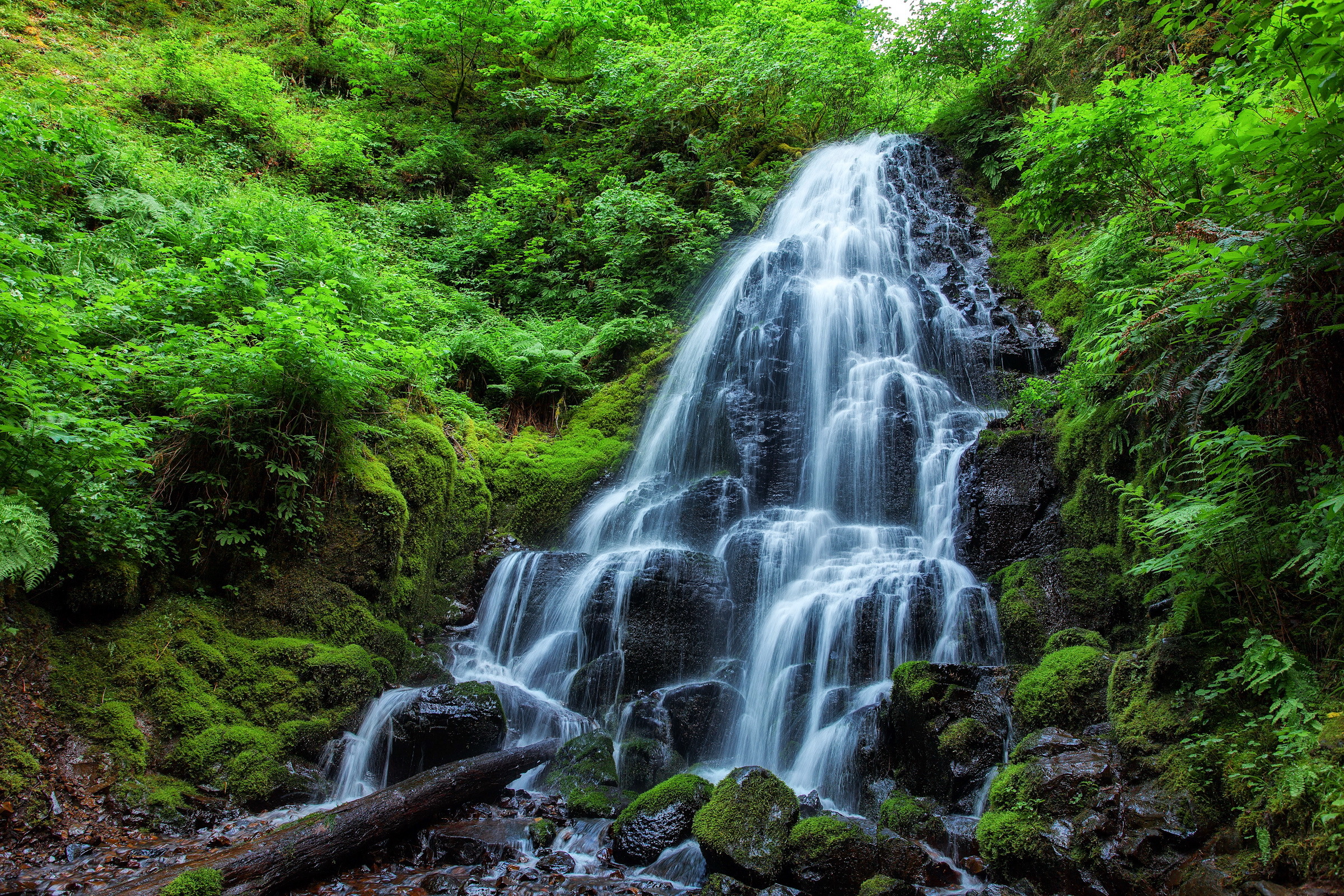 Free download wallpaper Waterfalls, Plant, Waterfall, Earth, Moss, Jungle on your PC desktop