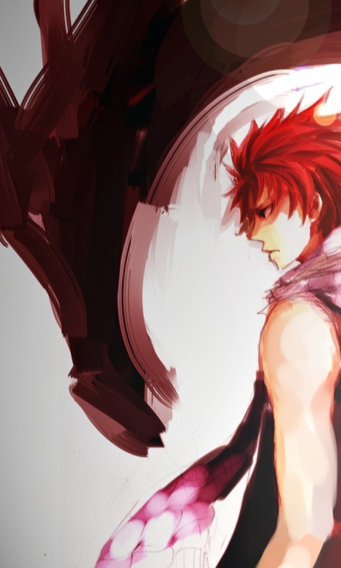 Download mobile wallpaper Anime, Fairy Tail, Natsu Dragneel for free.