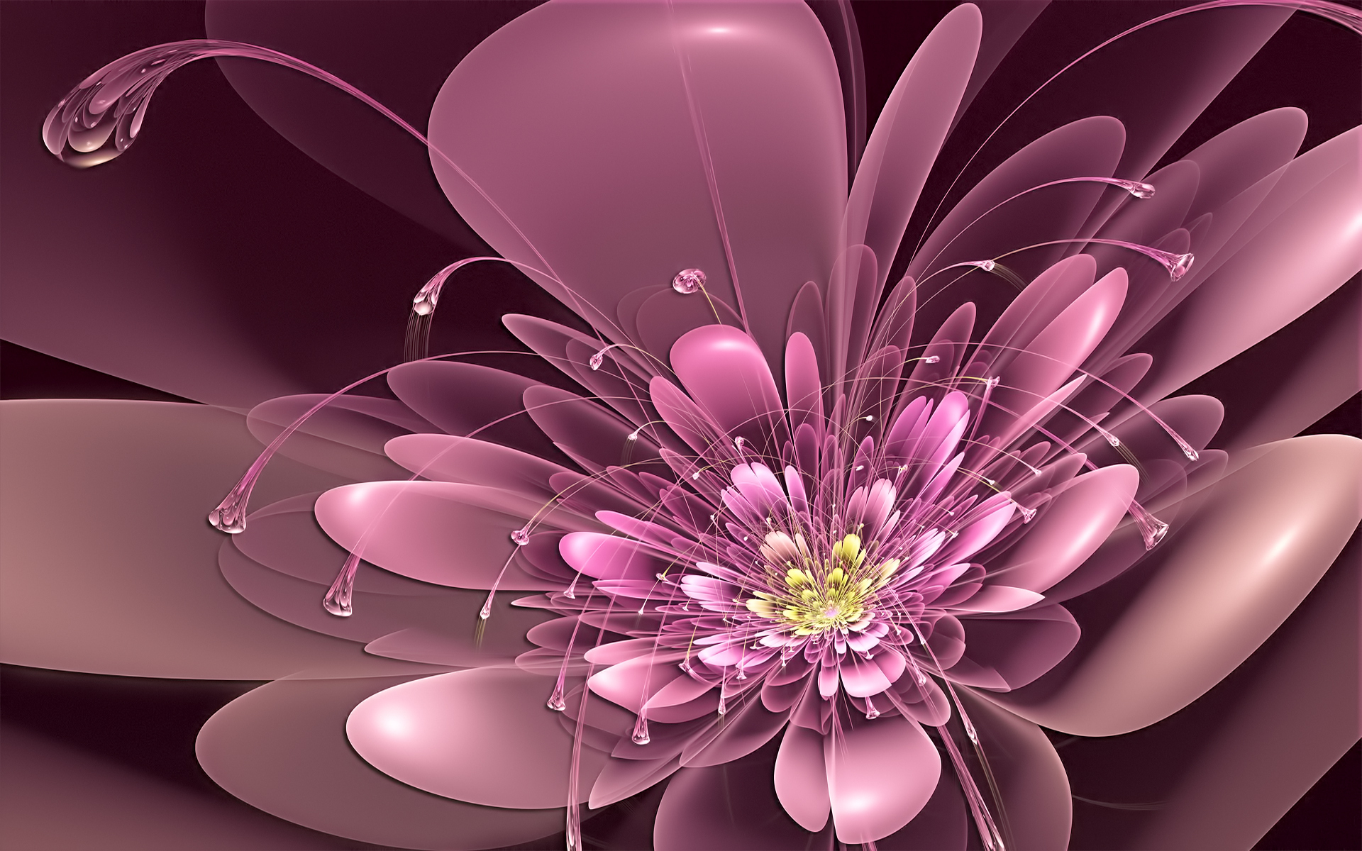 Download mobile wallpaper Abstract, Flower, Fractal for free.