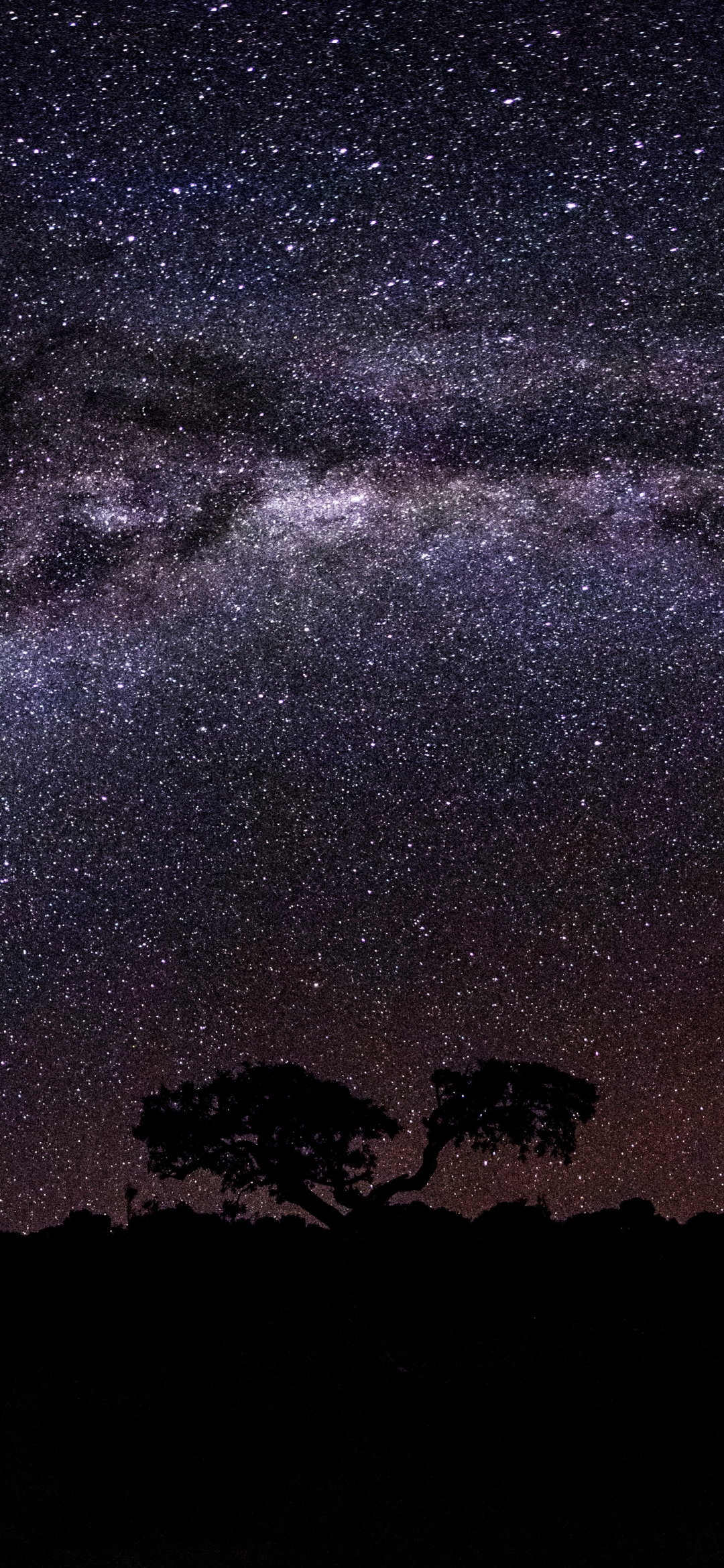 Download mobile wallpaper Sky, Stars, Night, Starry Sky, Earth, Milky Way for free.