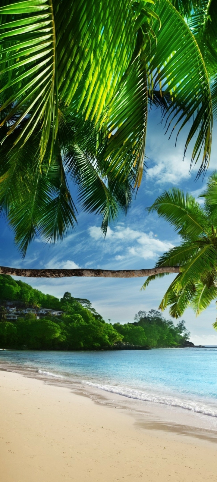 Handy-Wallpaper Strand, Ozean, Palme, Tropisch, Meer, Erde/natur kostenlos herunterladen.