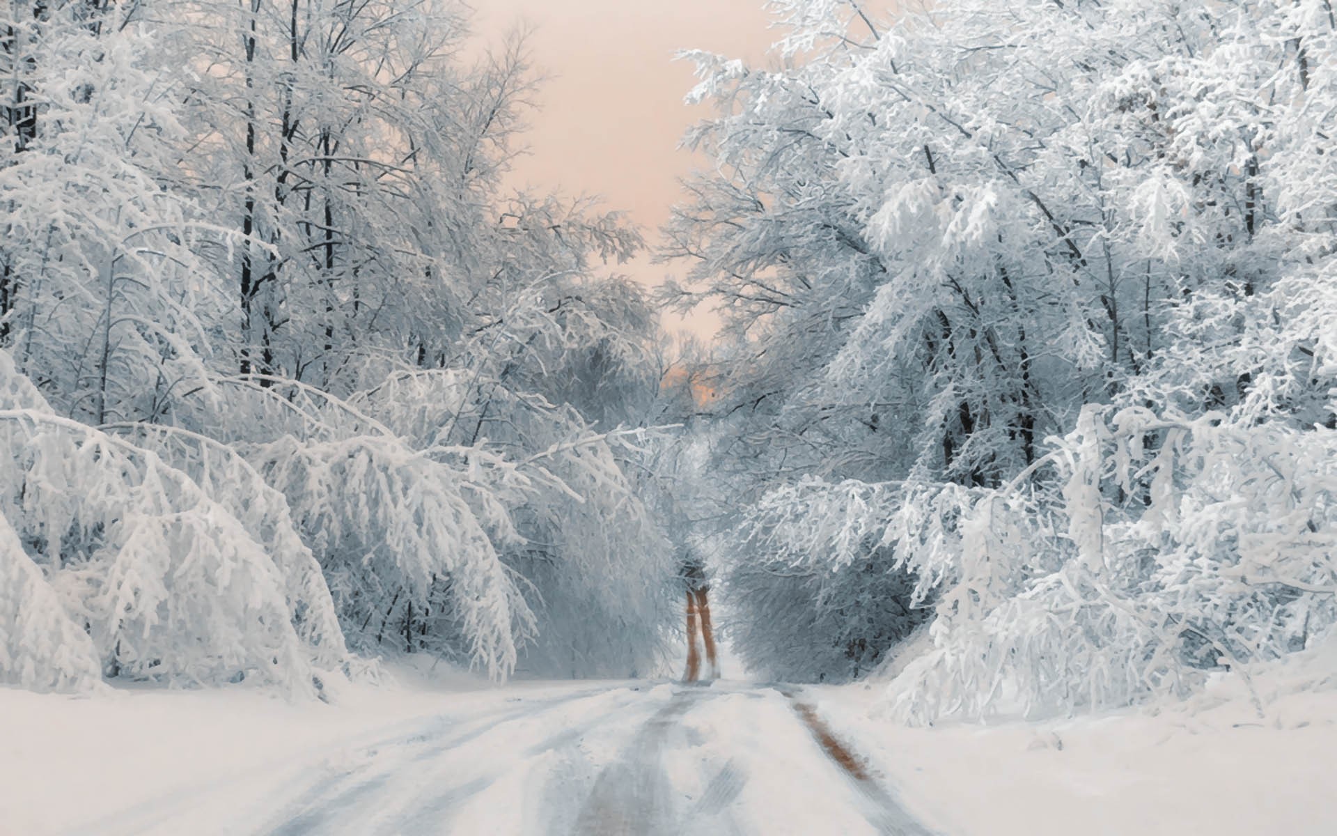 Download mobile wallpaper Winter, Snow, Road, Tree, Earth for free.