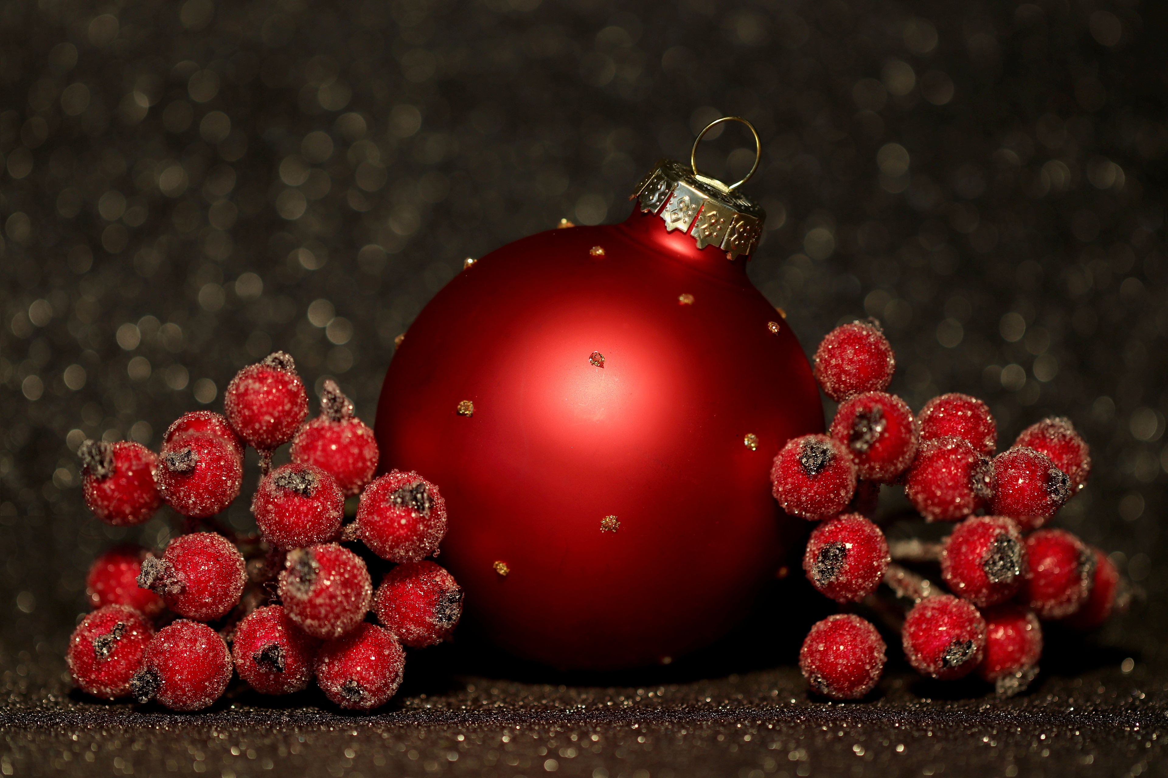 Free download wallpaper Christmas, Holiday, Berry, Decoration on your PC desktop