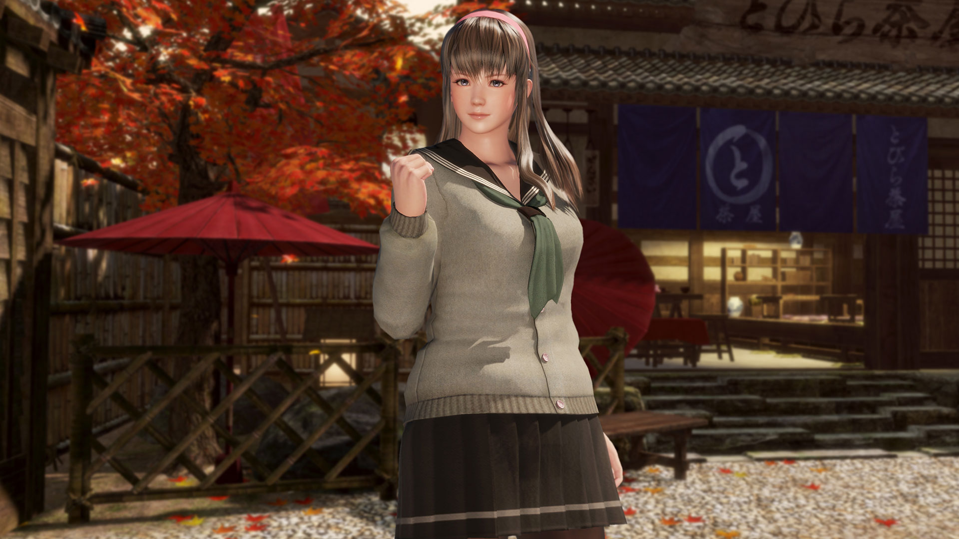 video game, dead or alive 6, hitomi (dead or alive)