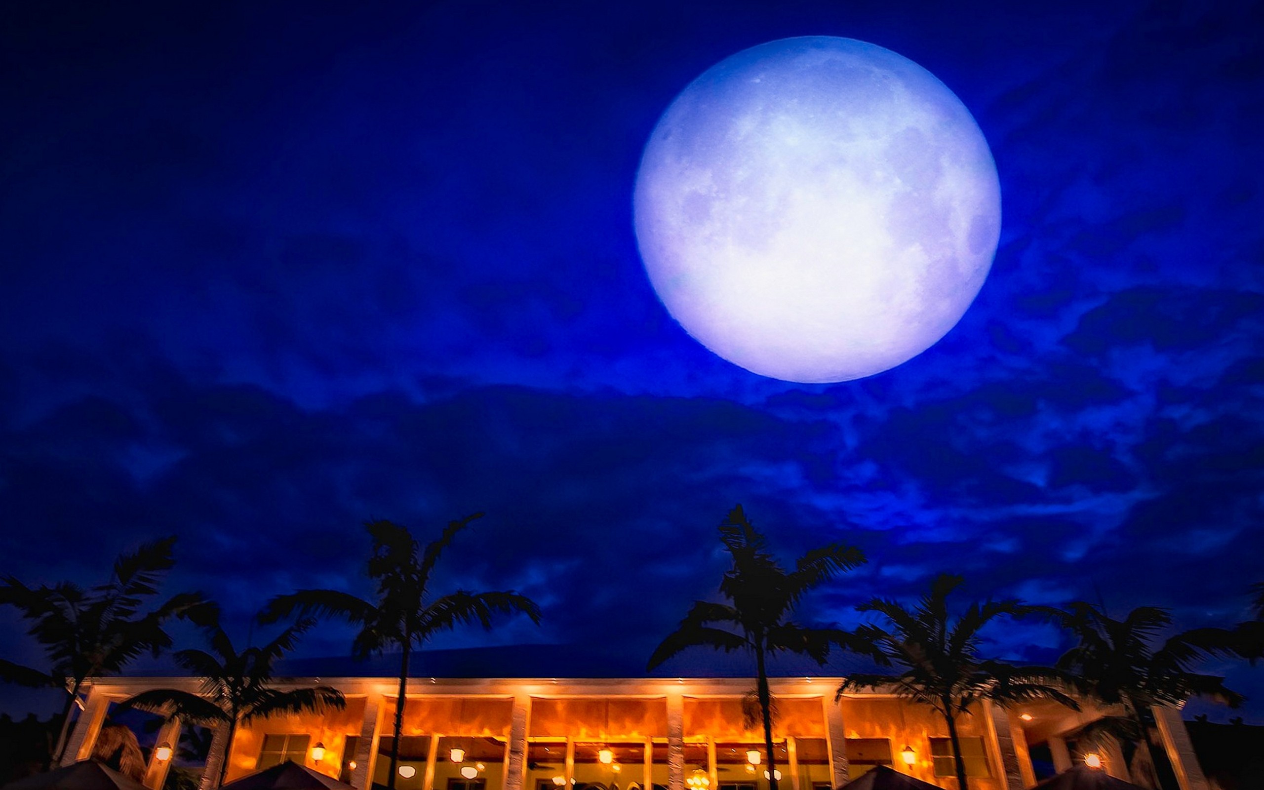 Free download wallpaper Sky, Night, Moon, Building, Earth, Palm Tree on your PC desktop