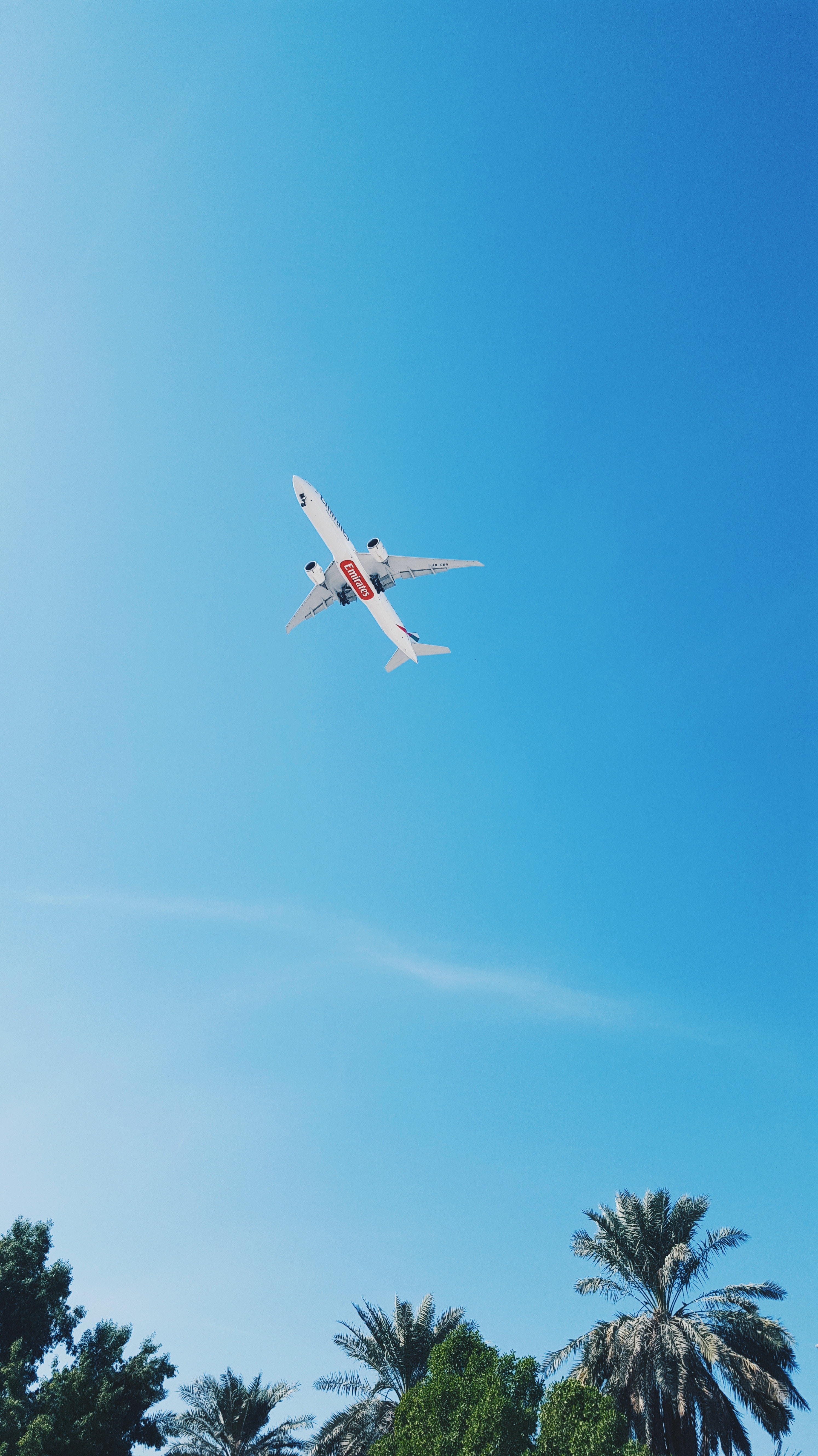 Download mobile wallpaper Plane, Airplane, Palms, Nature, Sky, Tropics, Flight for free.