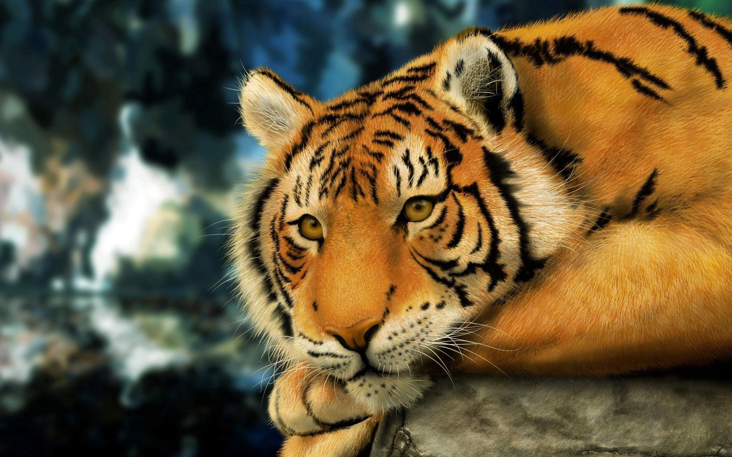 Free download wallpaper Animals, Muzzle, Striped, Tiger, Big Cat on your PC desktop