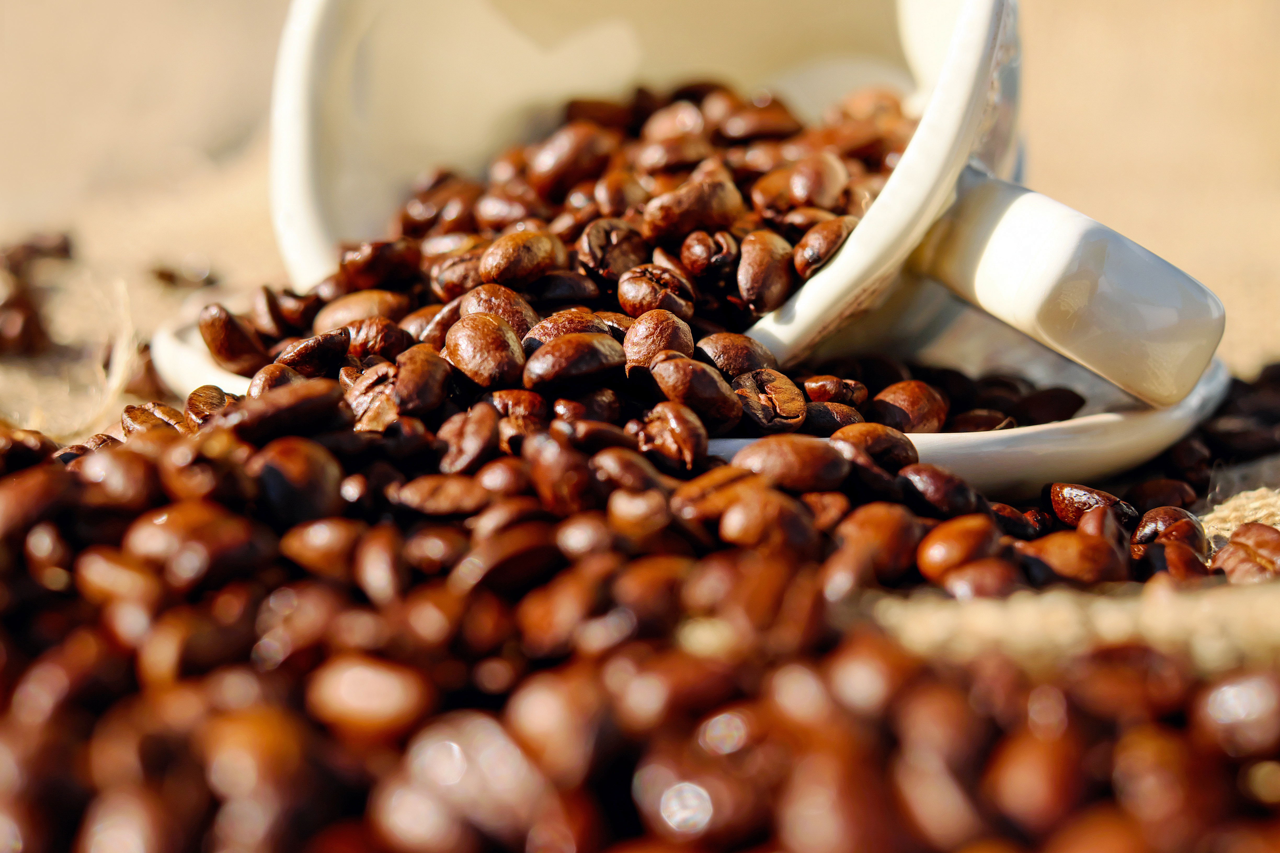 Free download wallpaper Food, Coffee, Cup, Coffee Beans, Mug on your PC desktop