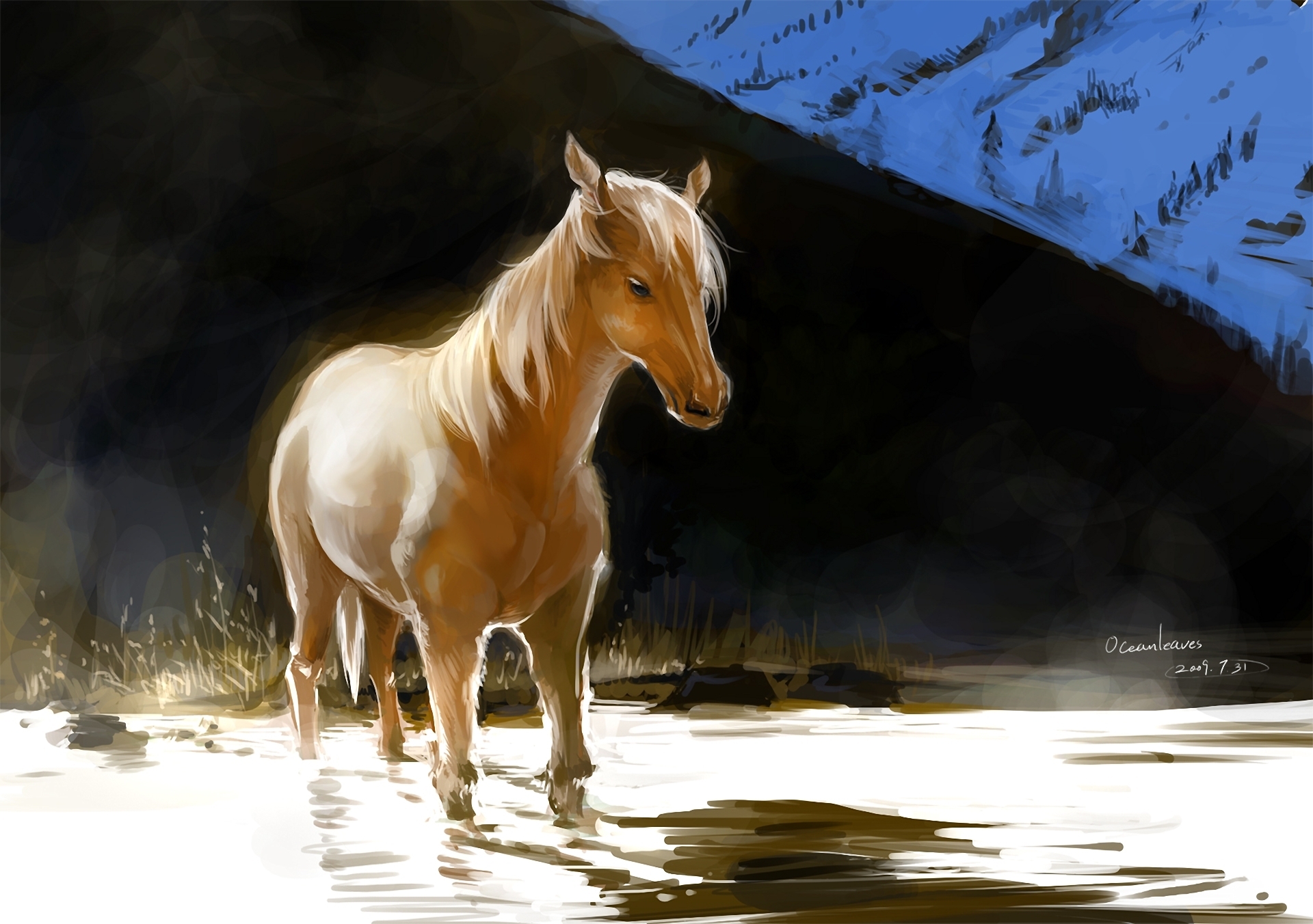 Free download wallpaper Animal, Horse on your PC desktop