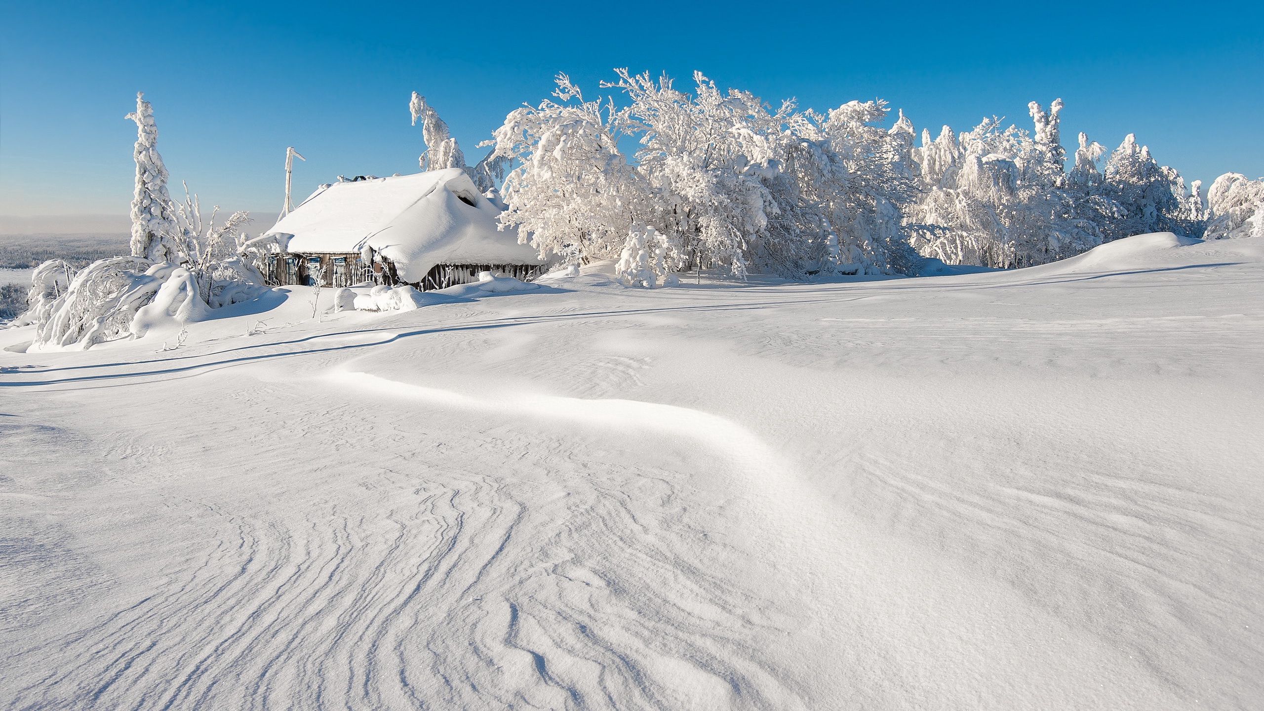113467 Hintergrundbild herunterladen schnee, winter, natur, bäume, gebäude, driften, driftet - Bildschirmschoner und Bilder kostenlos