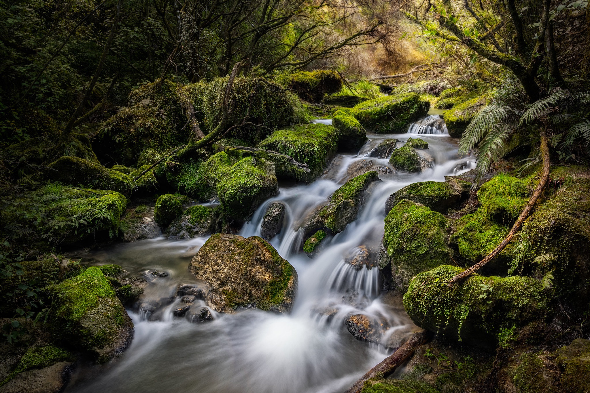 Free download wallpaper Nature, New Zealand, Earth, Moss, Stream, Greenery on your PC desktop