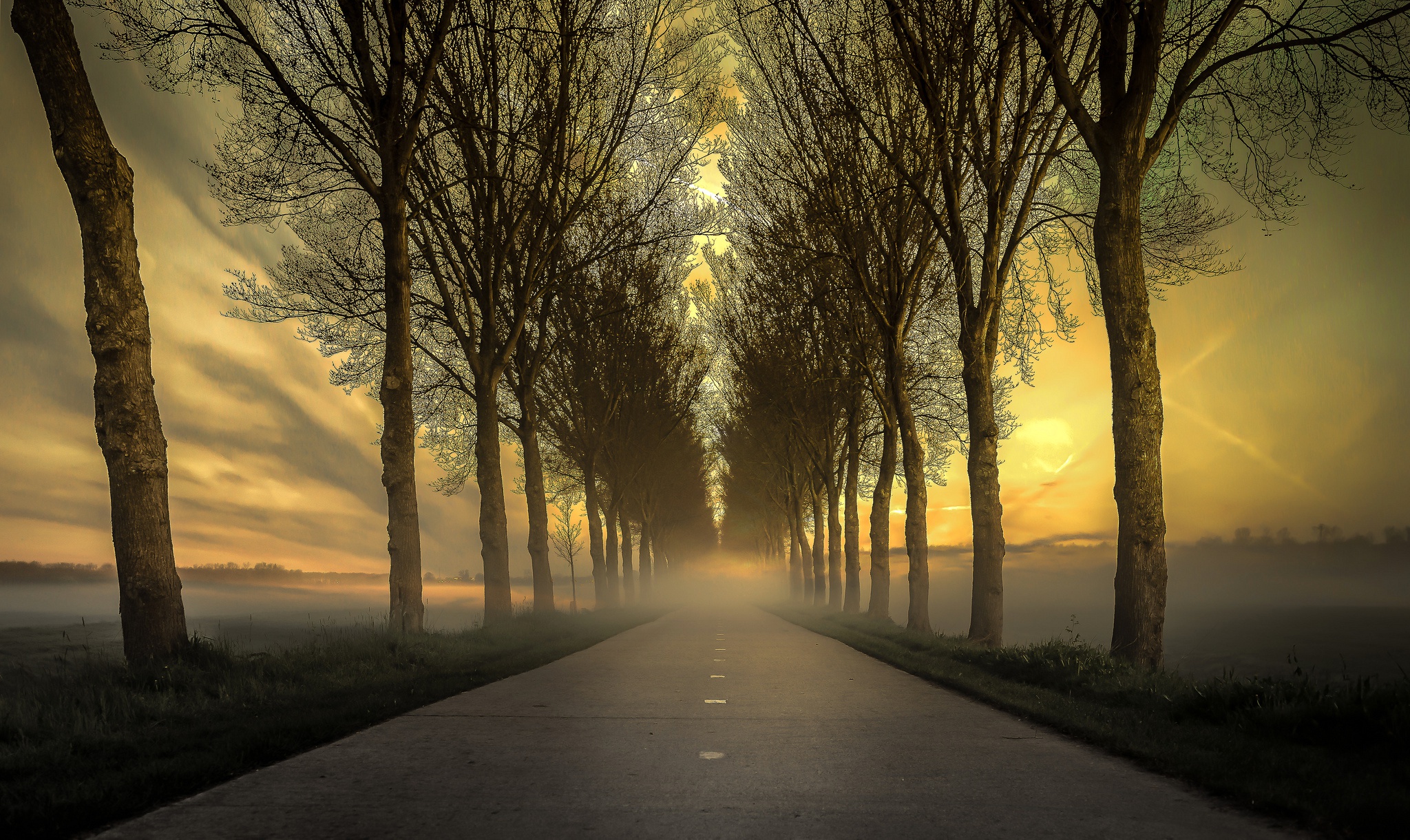 Free download wallpaper Road, Tree, Fog, Man Made, Tree Lined on your PC desktop