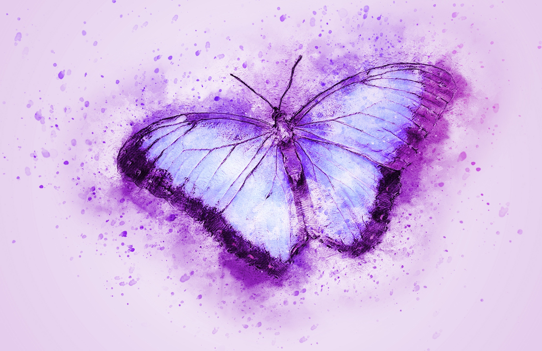 Download mobile wallpaper Insect, Butterfly, Purple, Artistic, Watercolor for free.