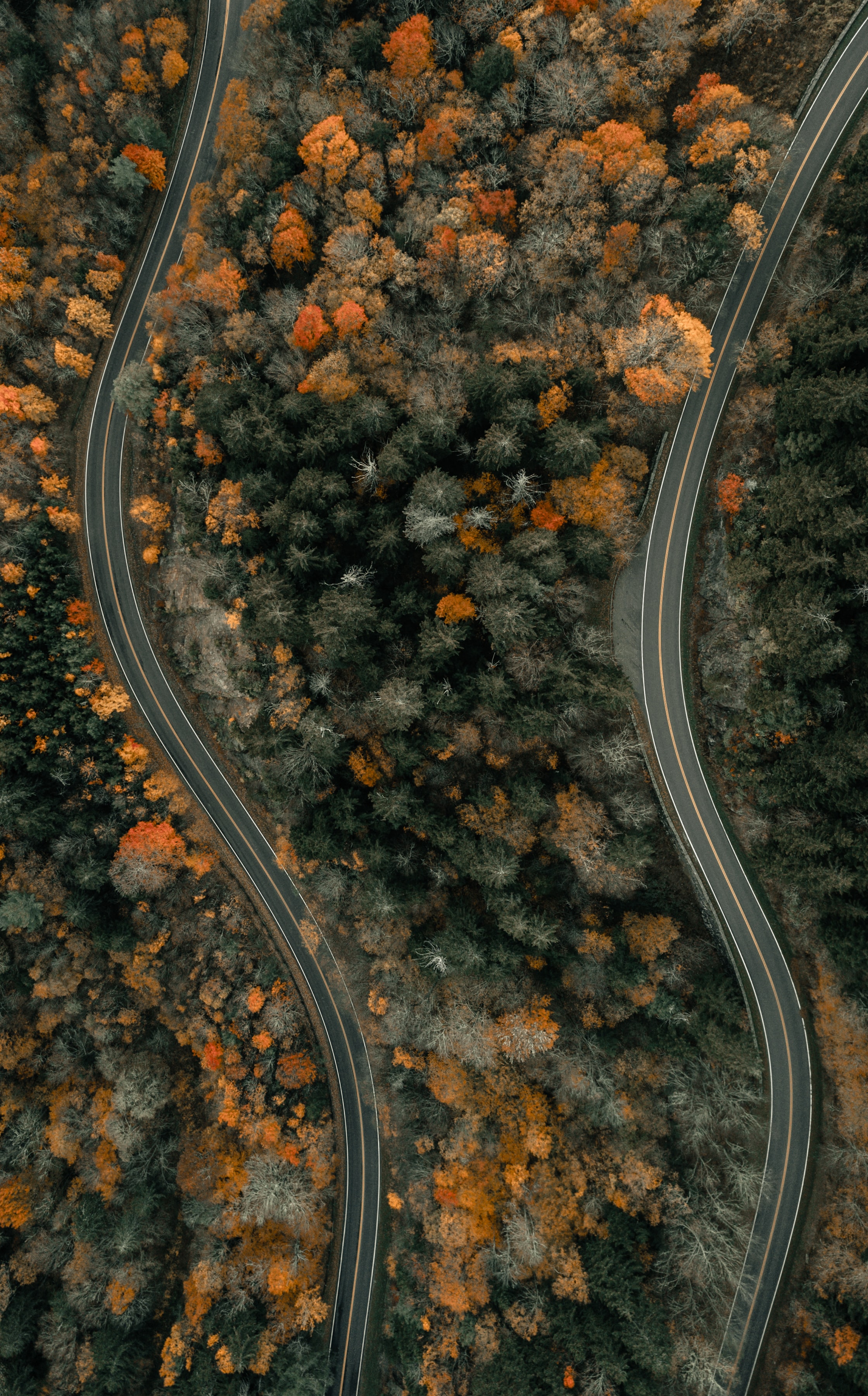 Free download wallpaper Nature, View From Above, Overview, Trees, Road, Review on your PC desktop