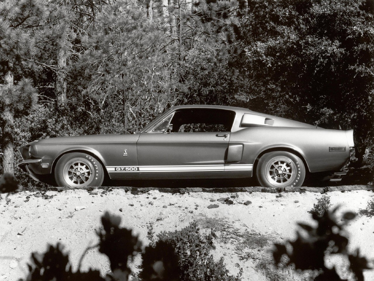 vehicles, fastback, muscle car, shelby gt500