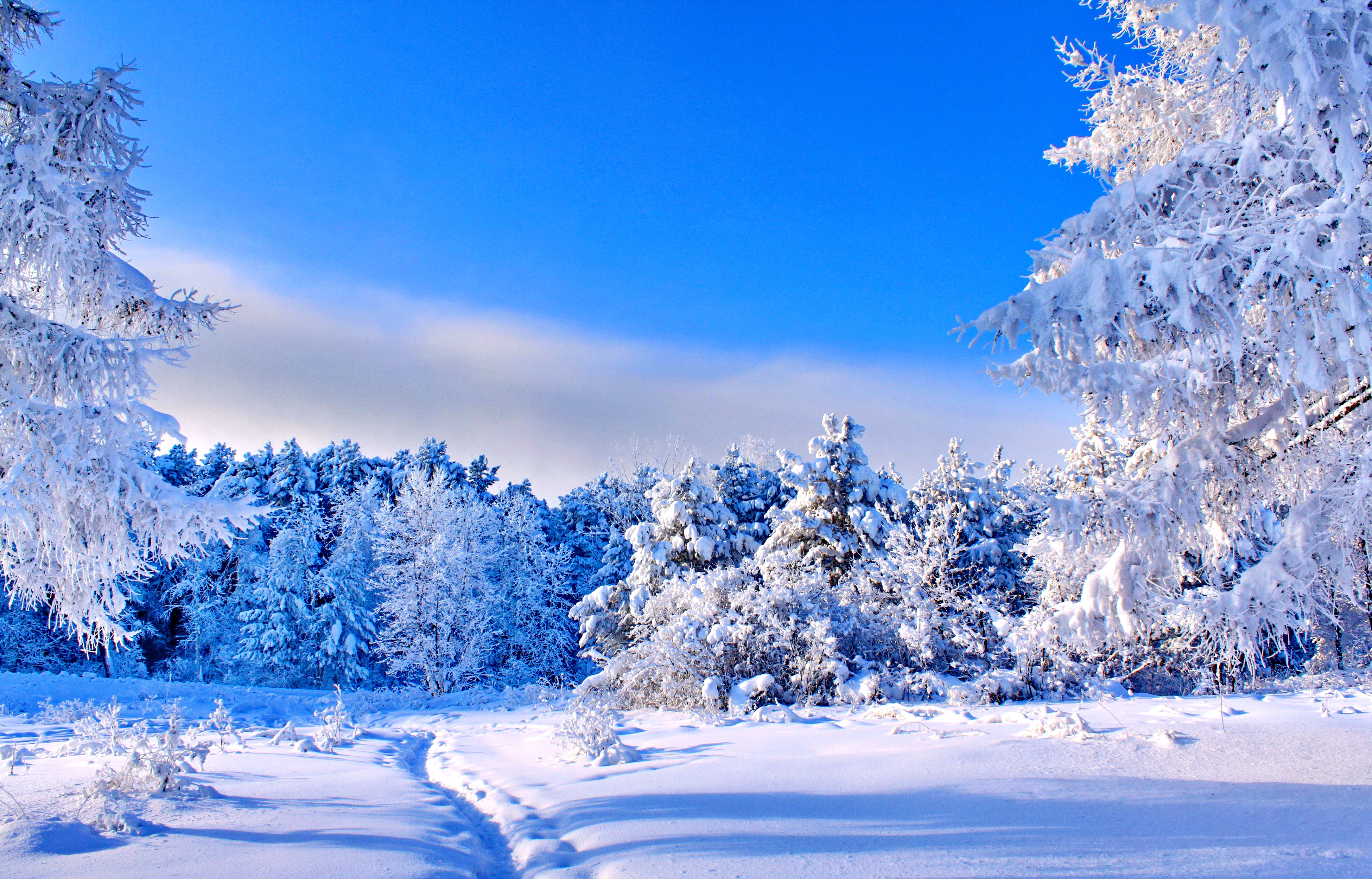 無料モバイル壁紙冬, 自然, 雪, 地球をダウンロードします。