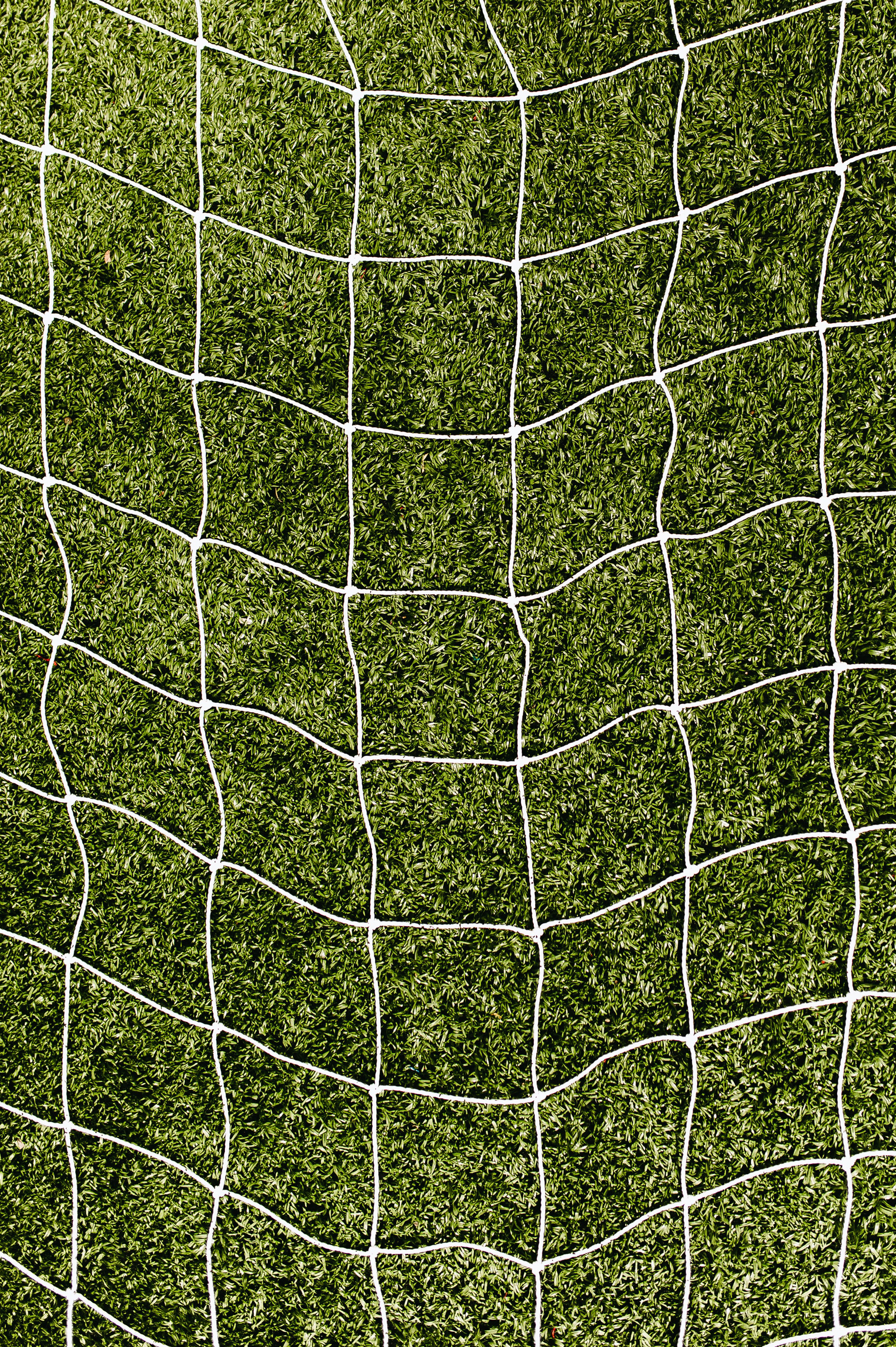 grass, texture, textures, grid, lawn Free Background