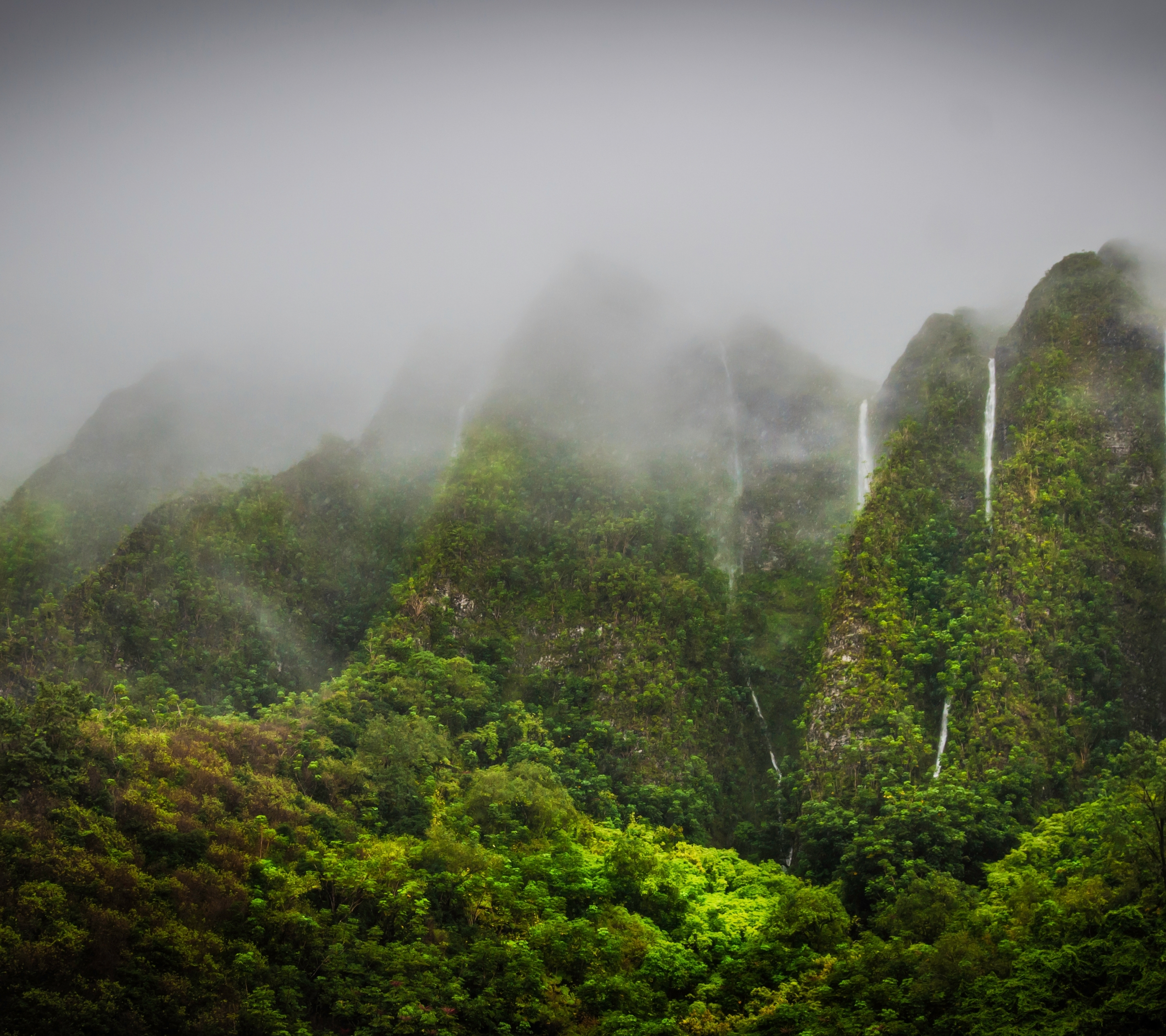 Download mobile wallpaper Waterfalls, Mountain, Waterfall, Fog, Earth, Tropics, Hawaii, Jungle, Oahu for free.