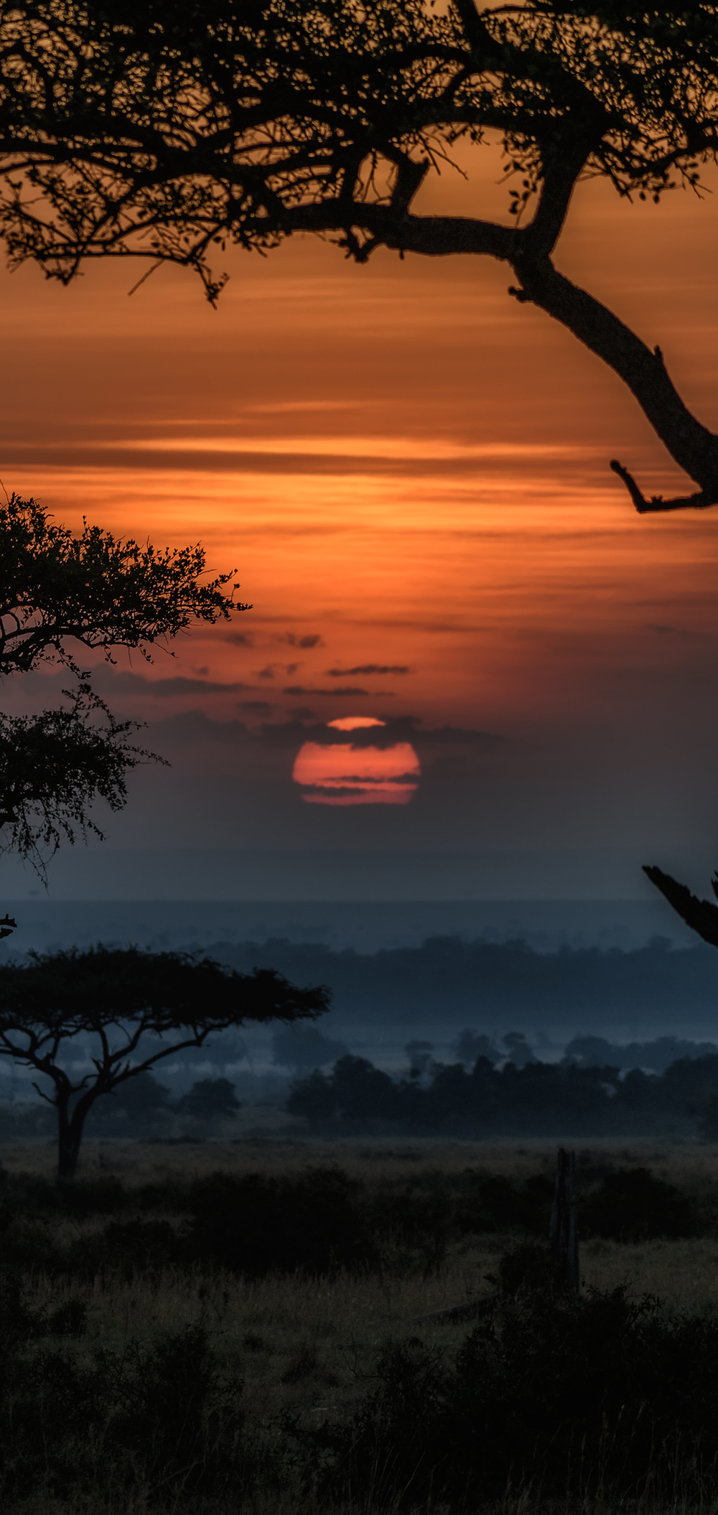 Handy-Wallpaper Landschaft, Sonnenaufgang, Dämmerung, Afrika, Erde/natur, Savanne, Kenia kostenlos herunterladen.