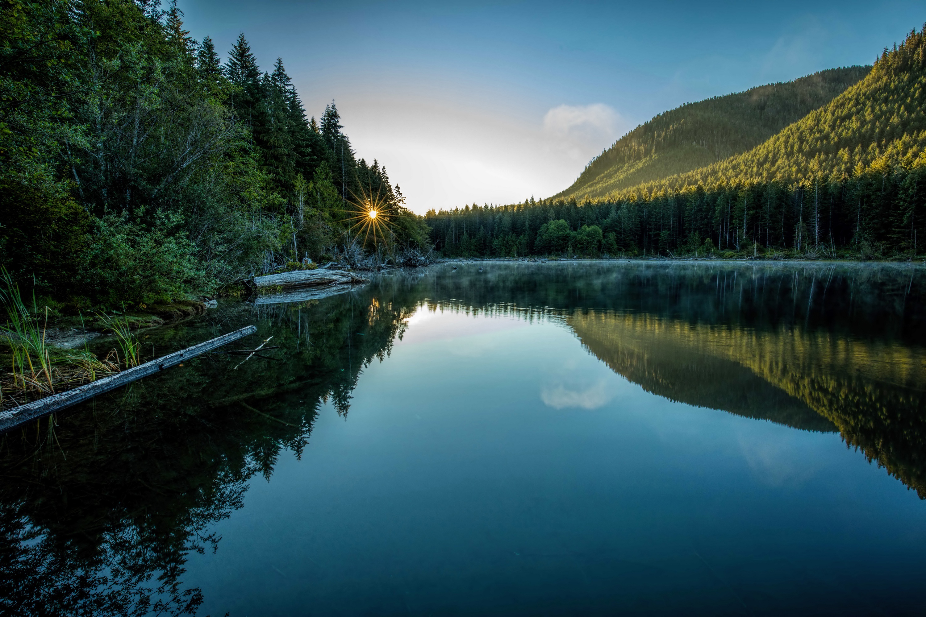 Descarga gratuita de fondo de pantalla para móvil de Naturaleza, Lago, Bosque, Tierra/naturaleza, Reflejo.