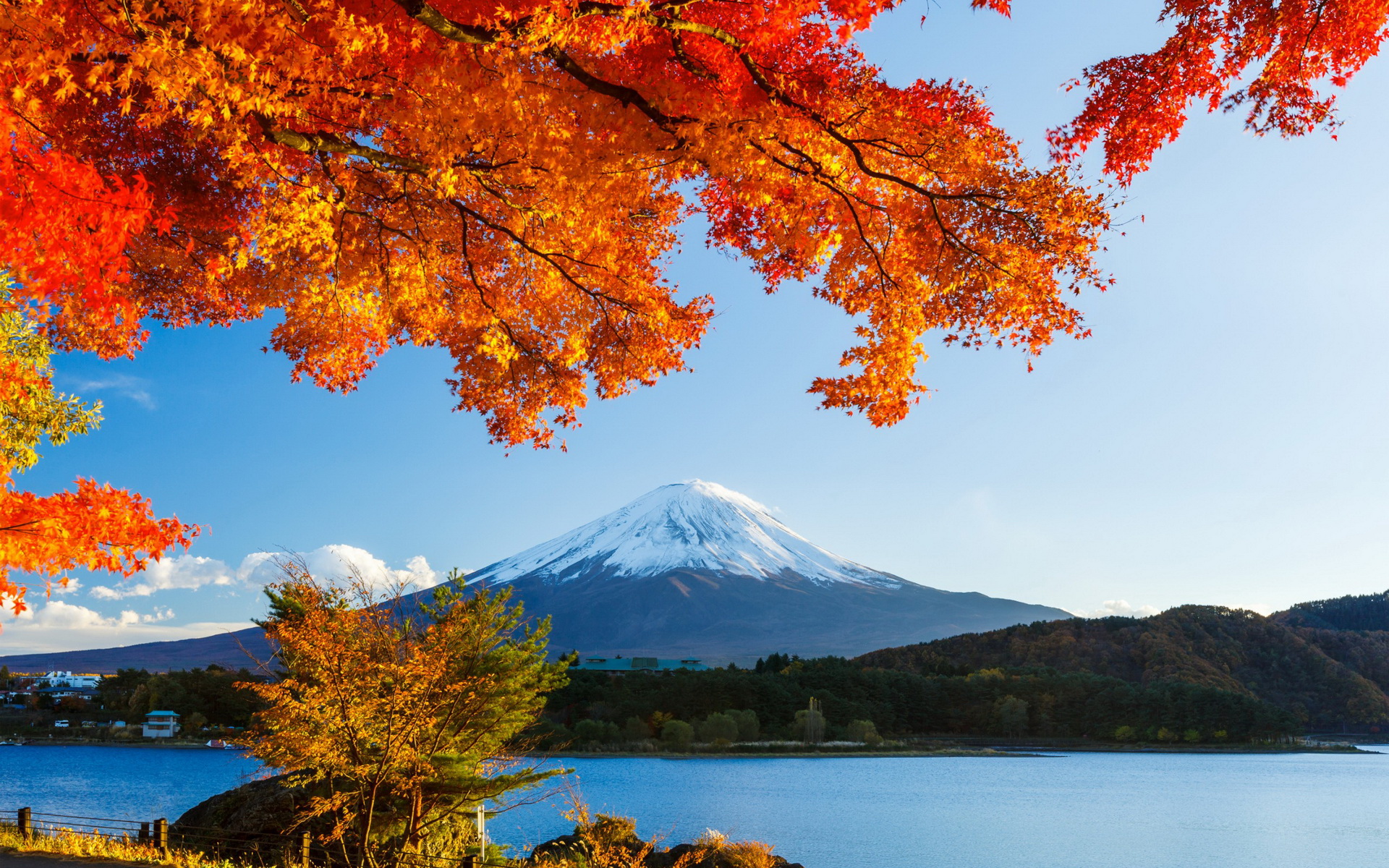 338120 Fonds d'écran et Mont Fuji images sur le bureau. Téléchargez les économiseurs d'écran  sur PC gratuitement