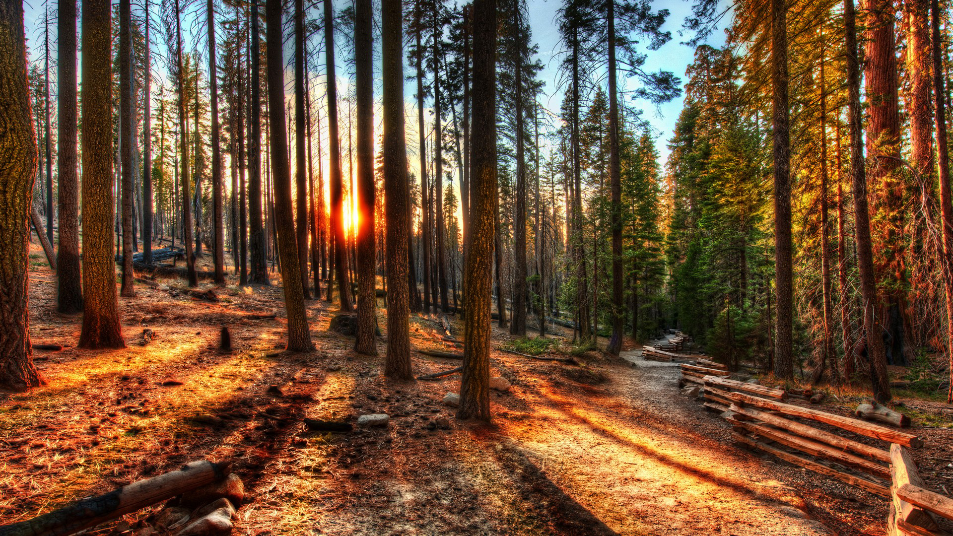 Laden Sie das Sonnenstrahl, Erde/natur-Bild kostenlos auf Ihren PC-Desktop herunter