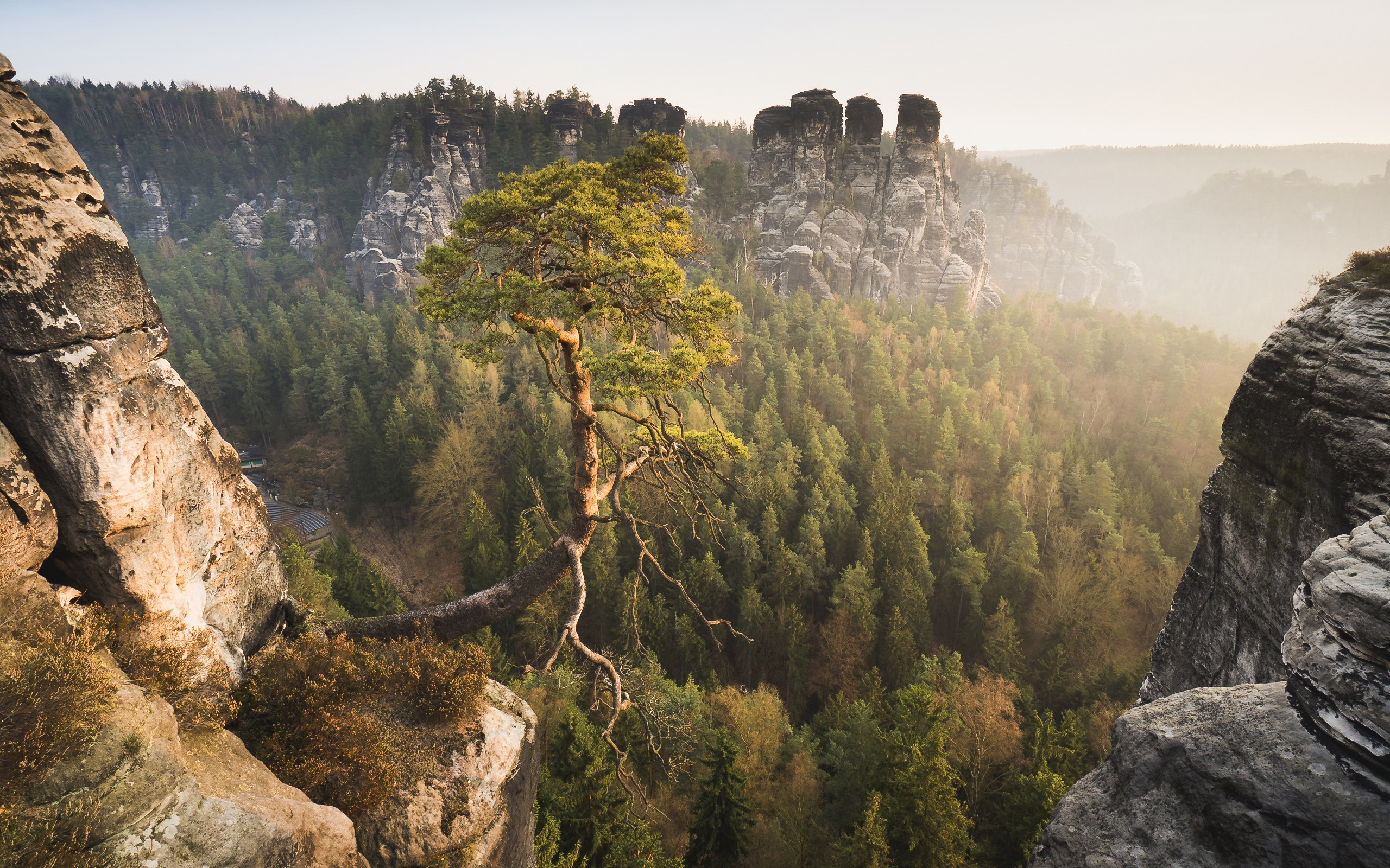 Скачать картинку Гора, Лес, Дерево, Ландшафт, Земля/природа в телефон бесплатно.