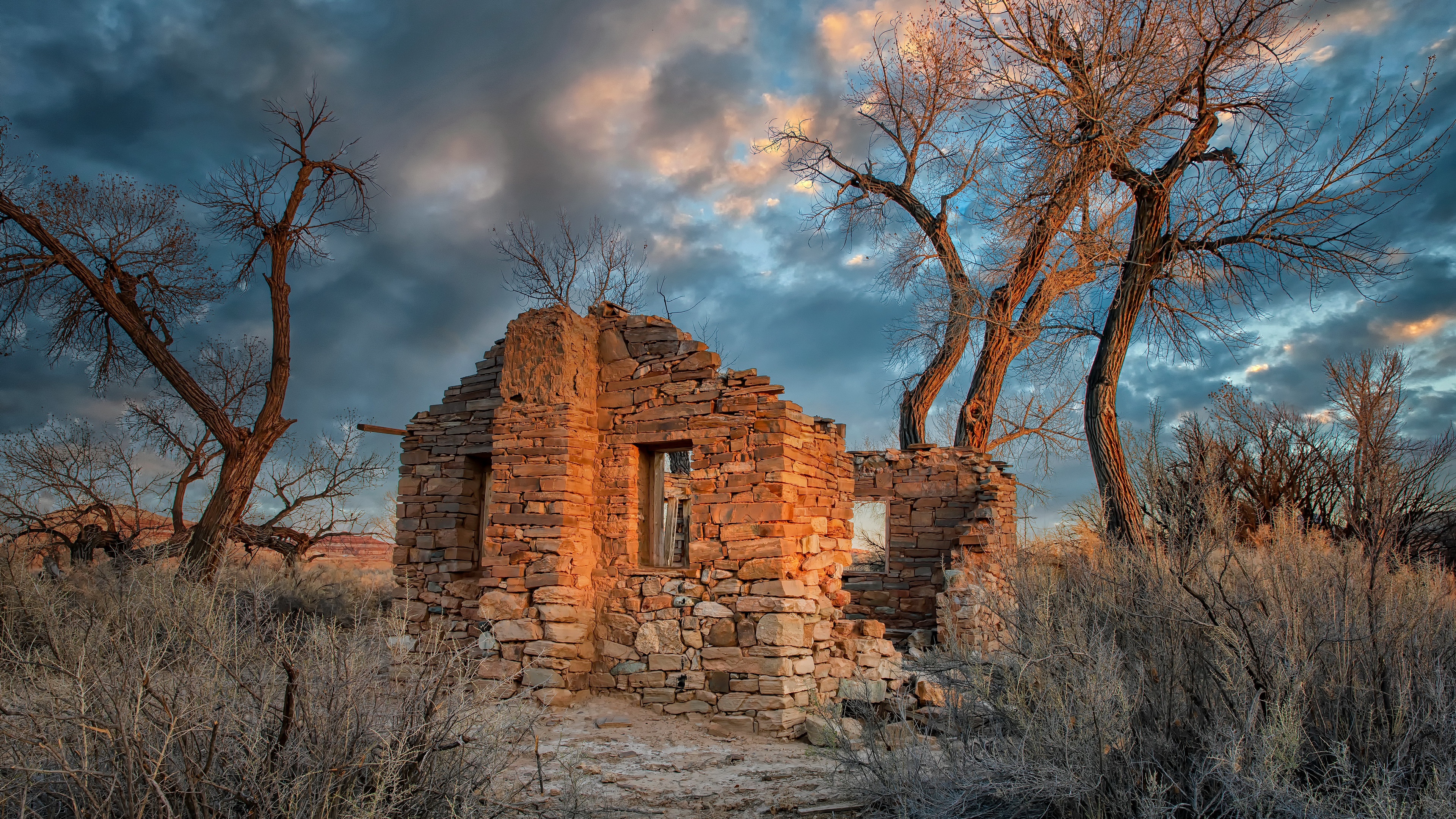 Download mobile wallpaper Nature, Tree, House, Ruin, Man Made for free.