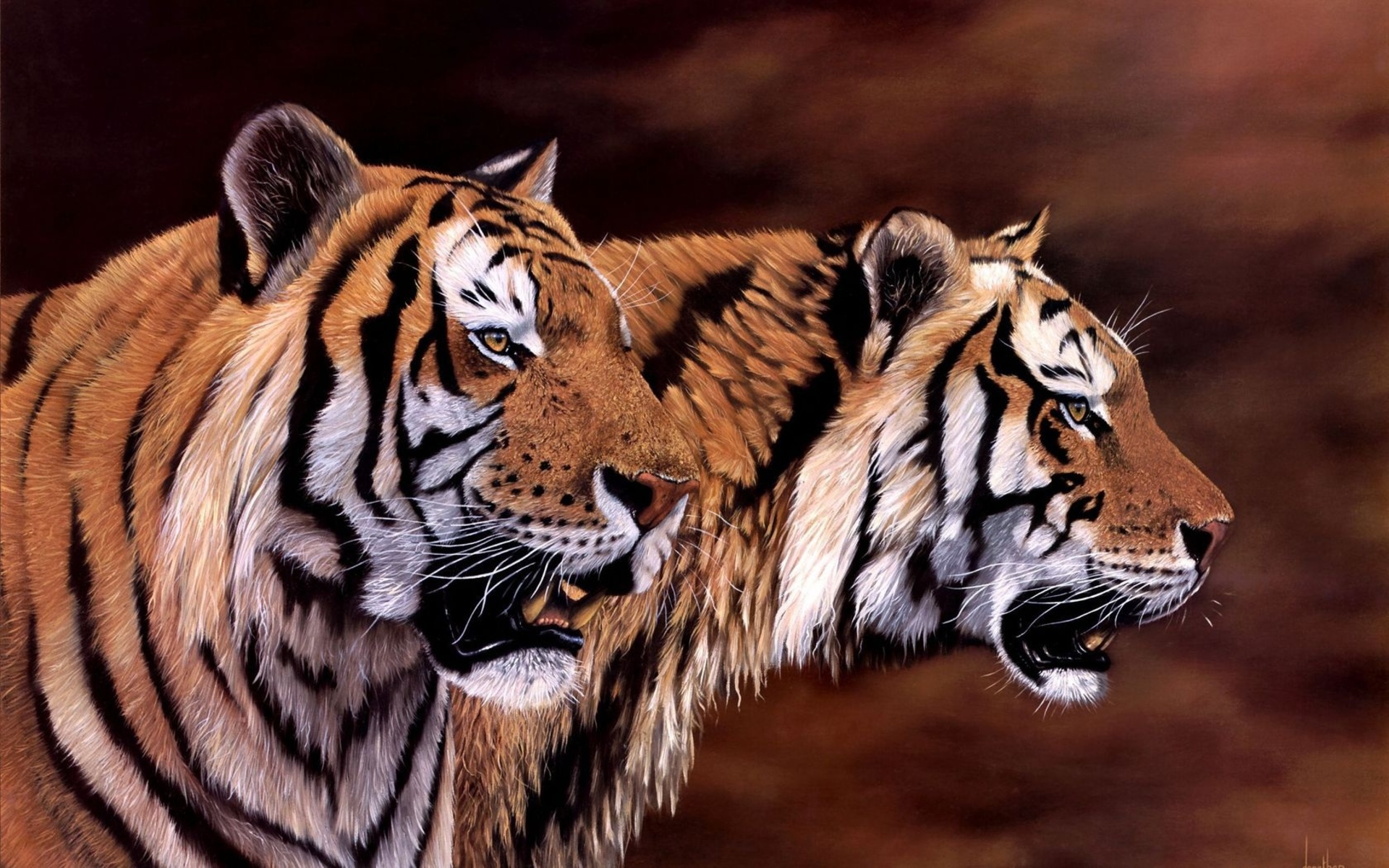 Free download wallpaper Cats, Tiger, Animal on your PC desktop