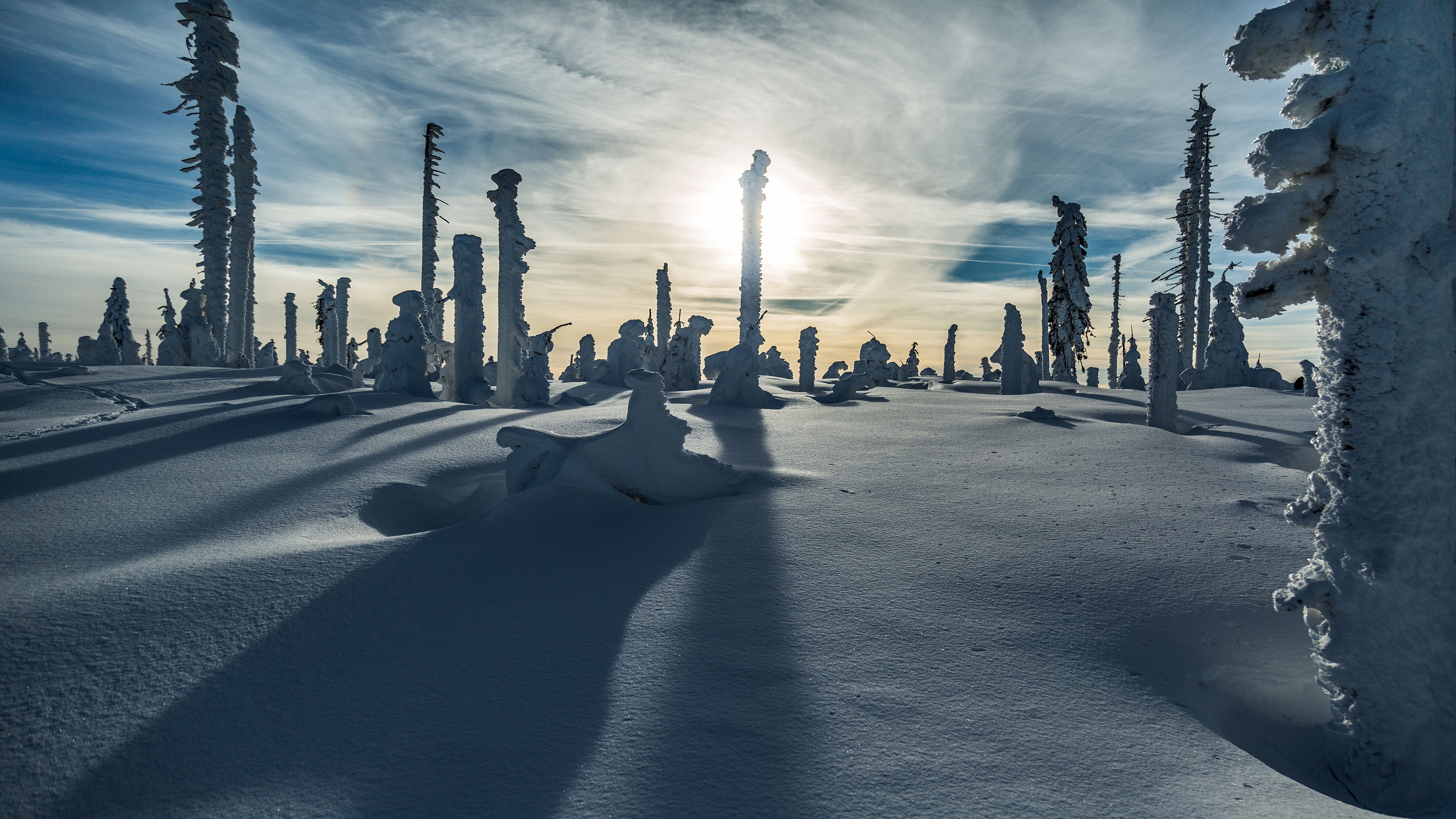 Laden Sie das Winter, Schnee, Erde/natur-Bild kostenlos auf Ihren PC-Desktop herunter