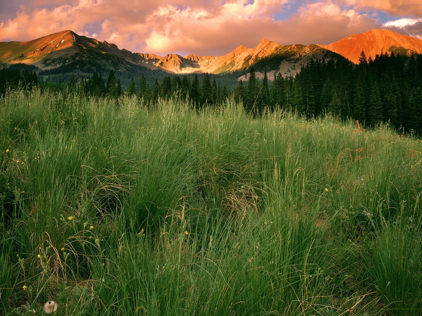 Free download wallpaper Landscape, Grass, Mountains on your PC desktop