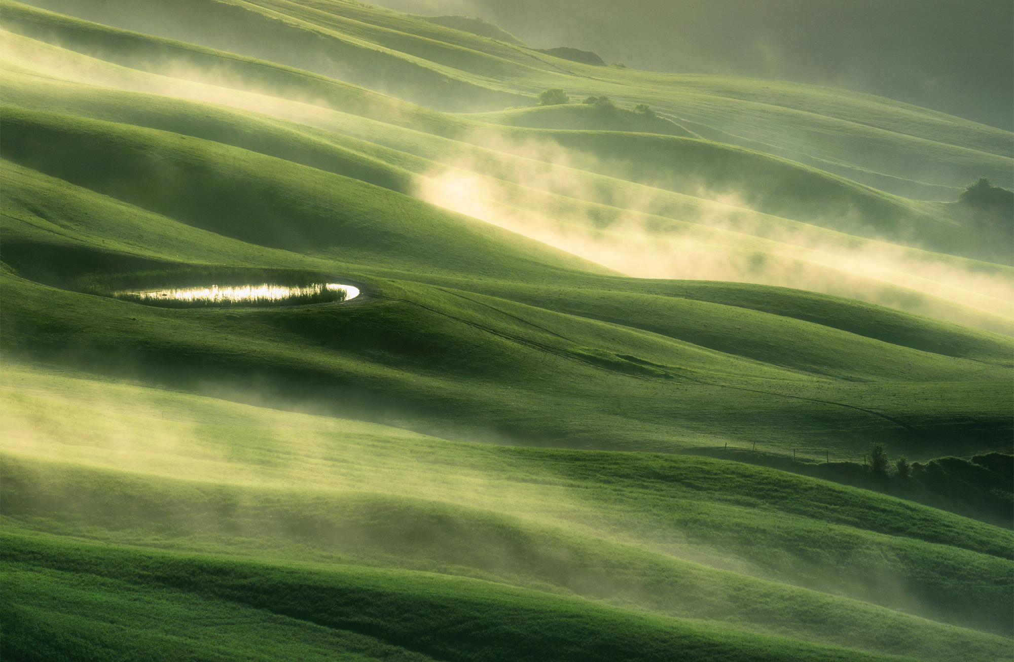 Скачать обои бесплатно Природа, Италия, Туман, Зеленый, Фотографии, Тоскана картинка на рабочий стол ПК