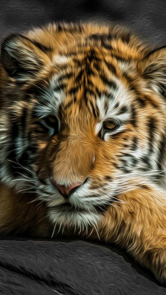 Download mobile wallpaper Cats, Tiger, Animal for free.