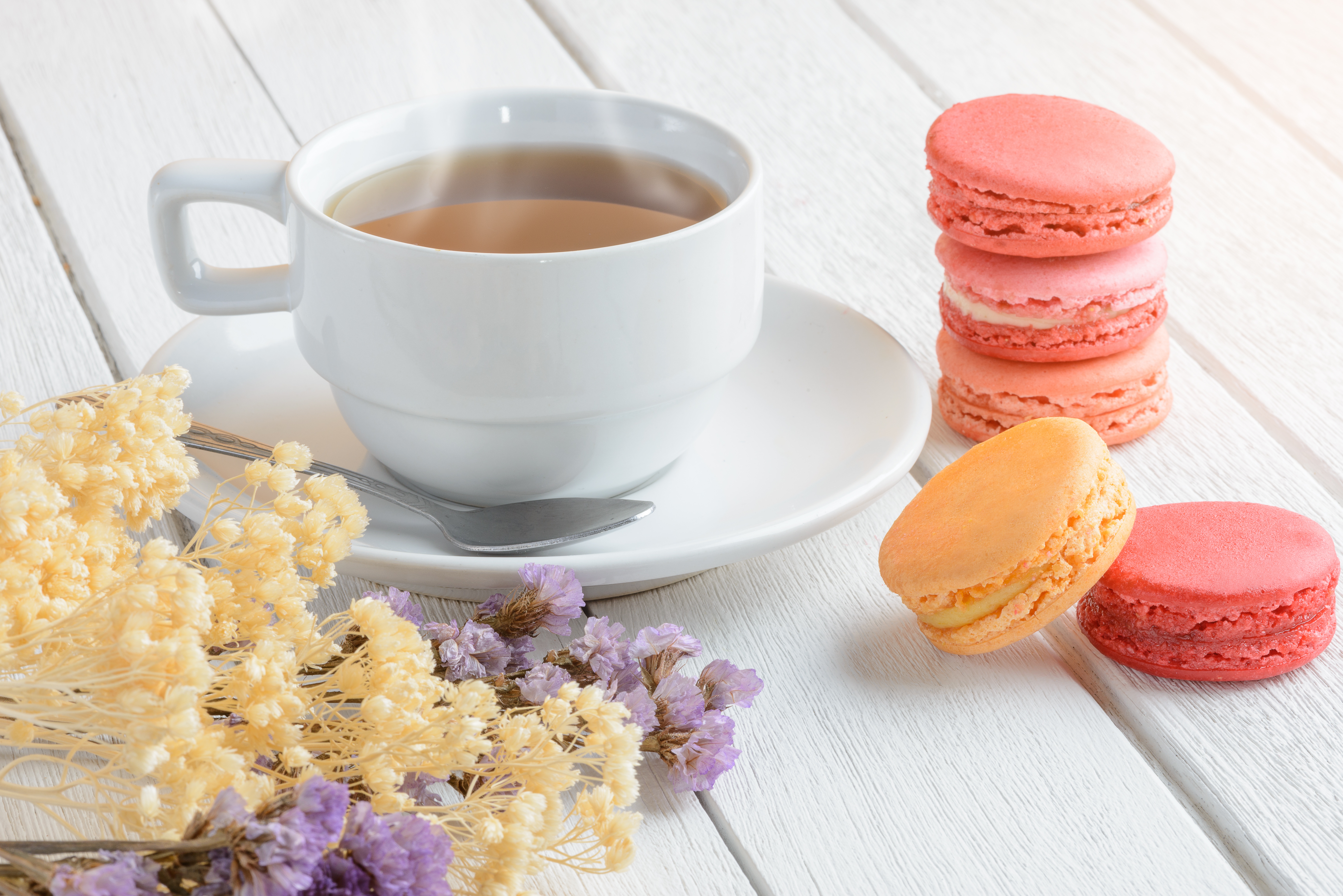 Download mobile wallpaper Food, Still Life, Flower, Cup, Tea, Macaron for free.