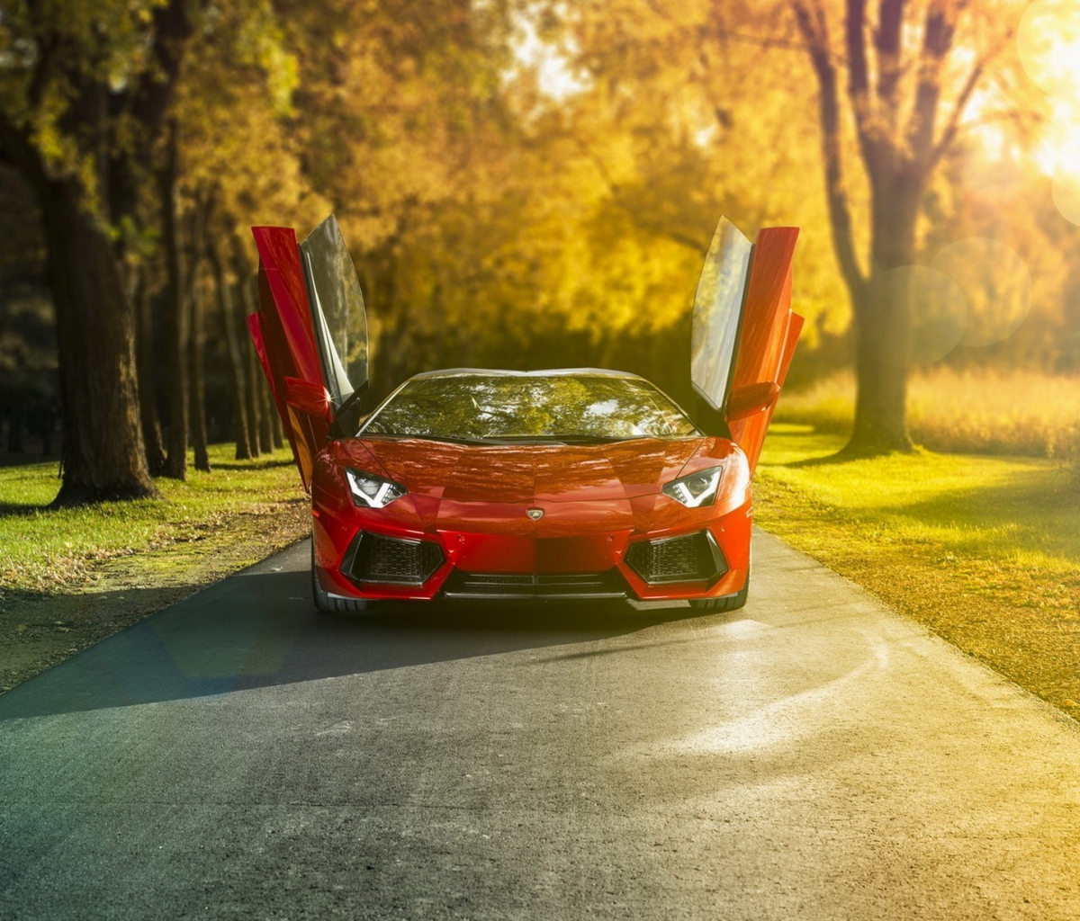 Handy-Wallpaper Lamborghini, Lamborghini Aventador, Fahrzeuge kostenlos herunterladen.