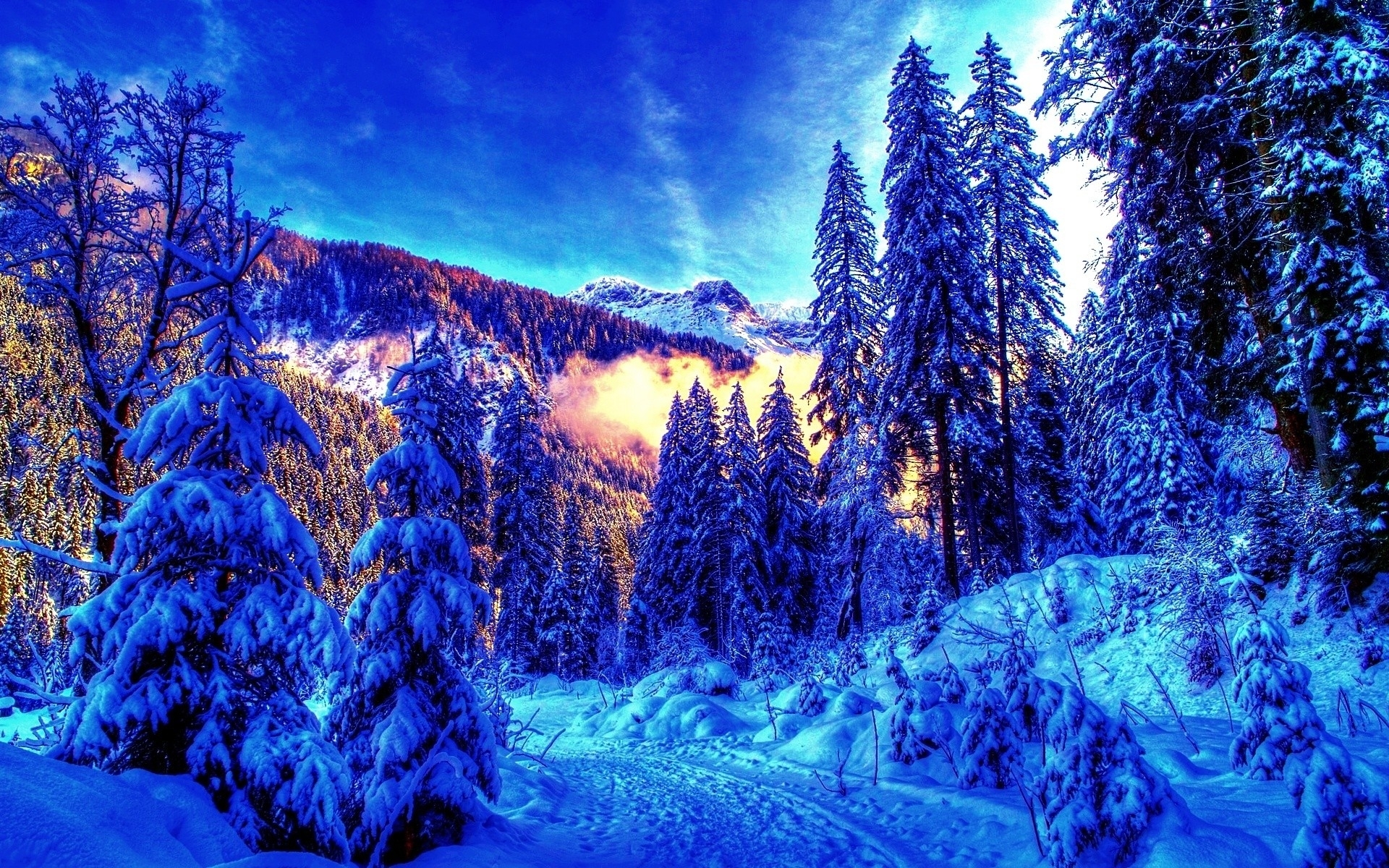 hdr, bright, winter, forest, earth, landscape, mountain, path, scenic, season, sky, snow