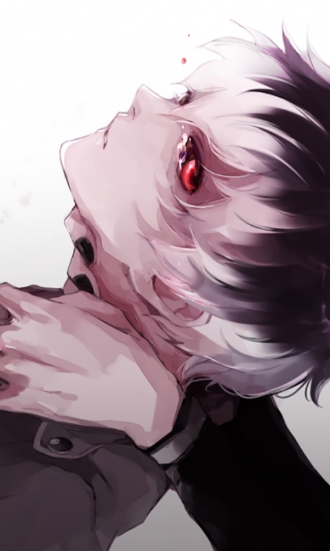 Baixar papel de parede para celular de Anime, Ken Kaneki, Tokyo Ghoul, Haise Sasaki, Tokyo Ghoul: Re gratuito.