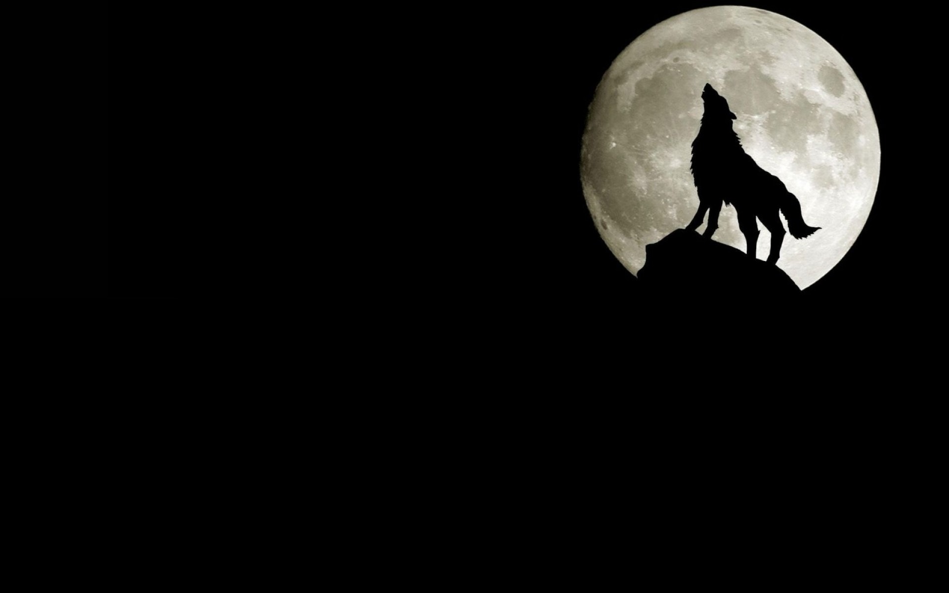 Free download wallpaper Moon, Wolf, Animal, Wolves on your PC desktop