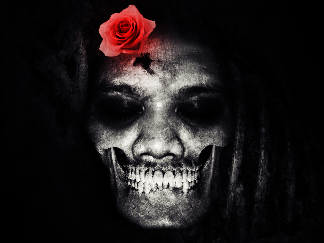 Free download wallpaper Dark, Rose, Skull, Horror on your PC desktop