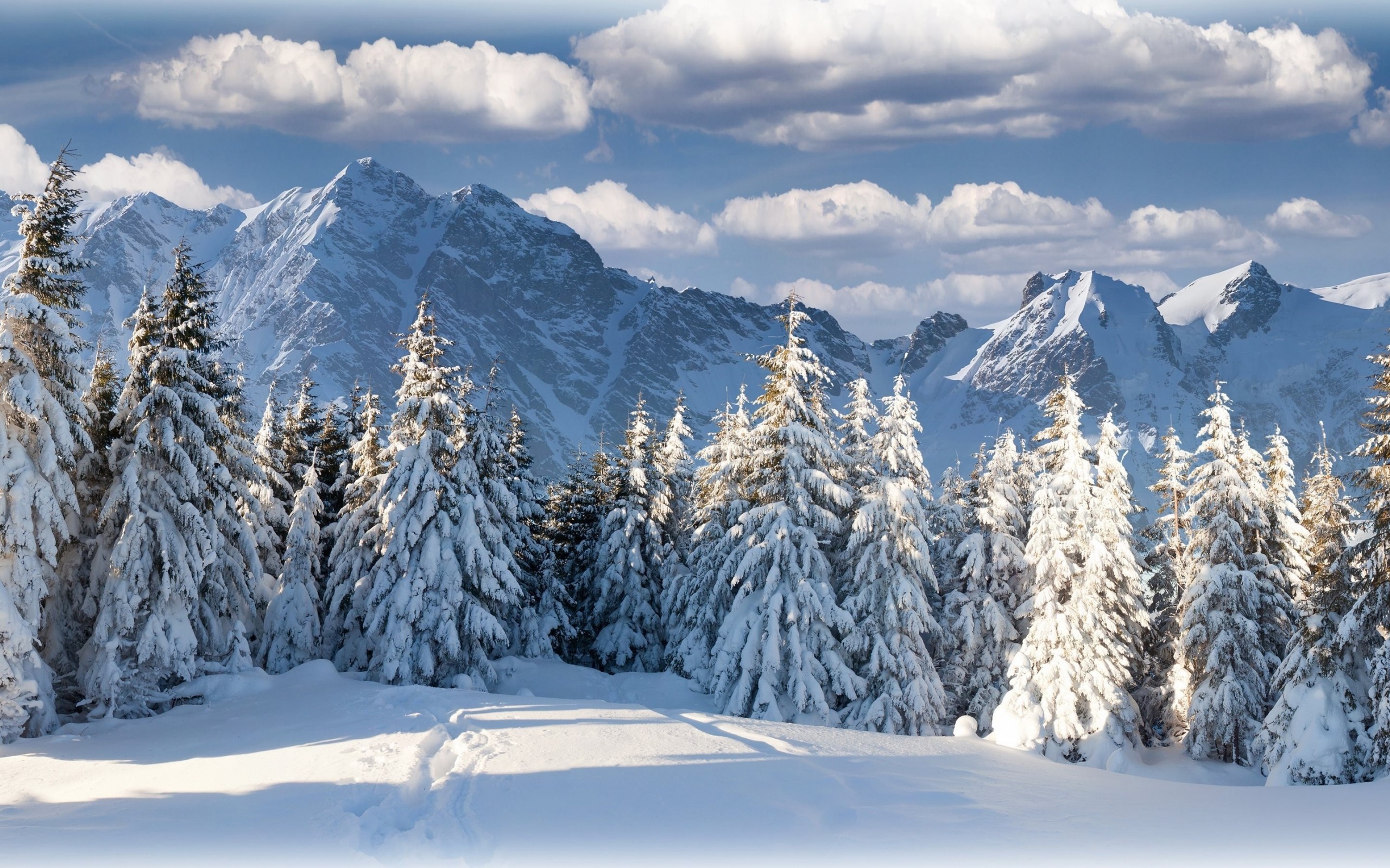 Download mobile wallpaper Winter, Snow, Mountain, Forest, Tree, Earth, Switzerland for free.